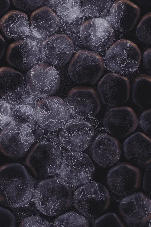 <p>Charlotte Dann’s “Vitreous” draws mysterious scenes of celestial arrangements and atomic bonds. Inspired by the artist’s fused glass practice, the background is layered with amorphous transparent forms that distort and magnify the art underneath, highlighting the abstract networks and connections that blur together upon first sight. In isolation, glass as a material is simple and transparent, but when used as a lens its most magical and unique property is revealed: the warping of perception. The new realities these distortions create are no less authentic than those absent of their effect – validating their alternate perspectives as an expansion of how we see our inner truth.</p>