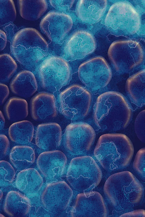 <p>Charlotte Dann’s “Vitreous” draws mysterious scenes of celestial arrangements and atomic bonds. Inspired by the artist’s fused glass practice, the background is layered with amorphous transparent forms that distort and magnify the art underneath, highlighting the abstract networks and connections that blur together upon first sight. In isolation, glass as a material is simple and transparent, but when used as a lens its most magical and unique property is revealed: the warping of perception. The new realities these distortions create are no less authentic than those absent of their effect – validating their alternate perspectives as an expansion of how we see our inner truth.</p>