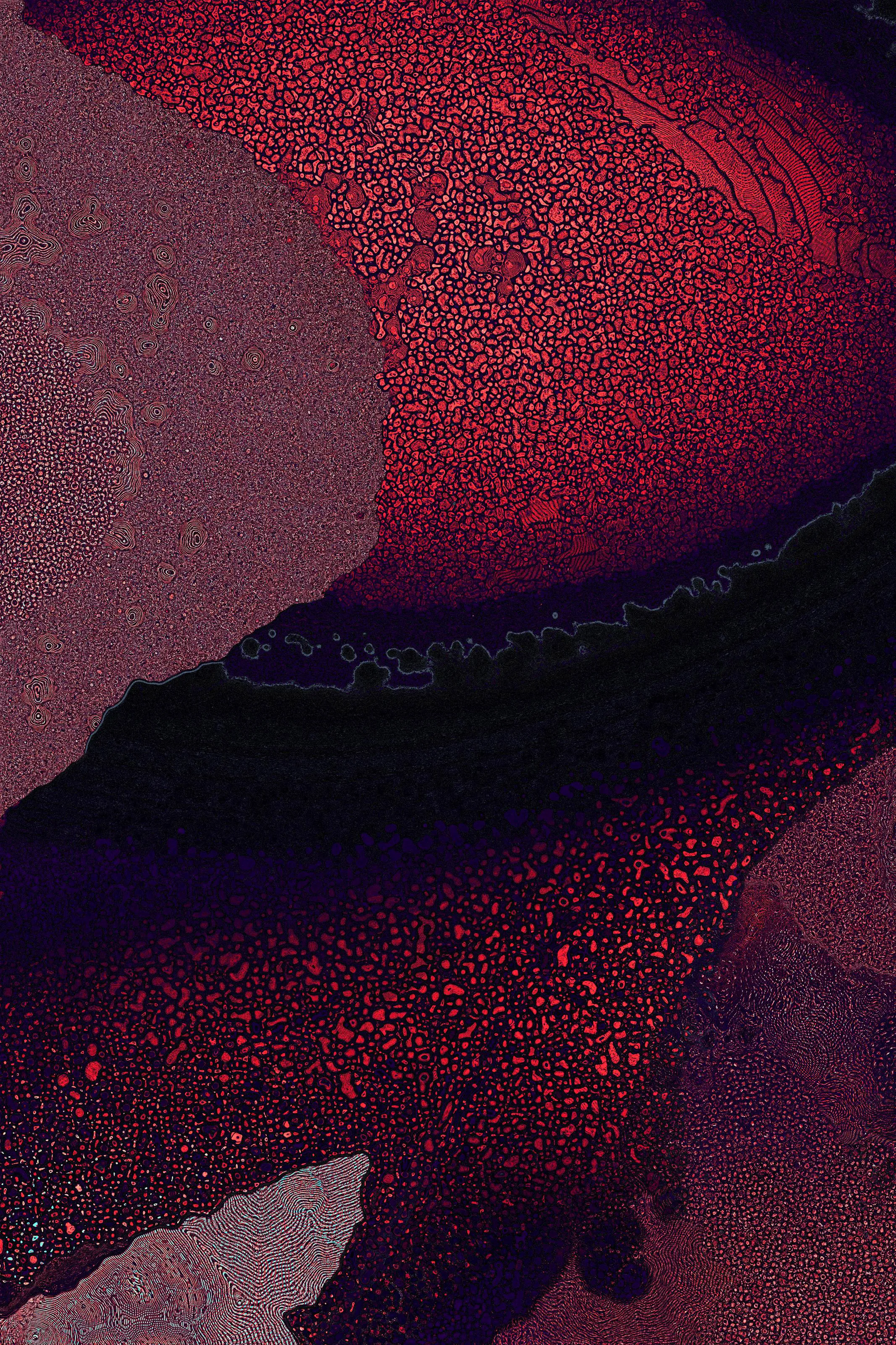 <p>David Seven’s “Dactylogram” emerges from the romantic ambition to embody the intricate essence of nature. In our relentless pursuit of equilibrium, beauty, and enlightenment, nature represents the idyllic state of these qualities. Nature silently catalyzes the mind, leading us toward moments of profound reflection, realization, and the occasional reset required to reach a state of harmony.</p>
<p>“Dactylogram” is a lens focusing on these very moments, capturing them as if an omnipresent camera gracefully traverses the vast expanses of our universe – from cosmos to microcosm to inner cosmos. Through a mesmerizing interplay of perspectives, textures, and the harmonious unification of elements, it gently beckons us to recognize a fundamental truth: the intricate interconnectedness of all aspects of nature, including ourselves. </p>
<p>It can be said that the deepest truth lies enshrined in the objective, constant forces that sculpt the universe. Unswayed by bias, immune to denial, they exist in a state of deterministic elegance that remains under influence from the chaotic dance of cosmic happenstance. It is precisely within the contradictions of this paradigm that we find the true essence of beauty and a poignant reminder of the uncontrollable balance of existence – the truth of nature. “Dactylogram” is simply a reminder of this truth, capturing a fleeting moment whose humble truth is proven by its creation – just as profound as the most enduring natural phenomena, and a testament to the enigmatic allure of gazing deep into the cosmos, in whichever direction it might be.</p>