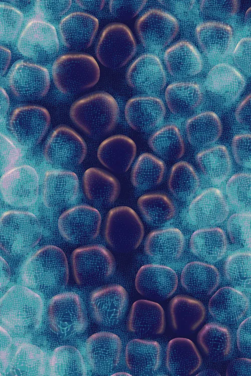 <p>Charlotte Dann’s “Vitreous” draws mysterious scenes of celestial arrangements and atomic bonds. Inspired by the artist’s fused glass practice, the background is layered with amorphous transparent forms that distort and magnify the art underneath, highlighting the abstract networks and connections that blur together upon first sight. In isolation, glass as a material is simple and transparent, but when used as a lens its most magical and unique property is revealed: the warping of perception. The new realities these distortions create are no less authentic than those absent of their effect – validating their alternate perspectives as an expansion of how we see our inner truth.</p>