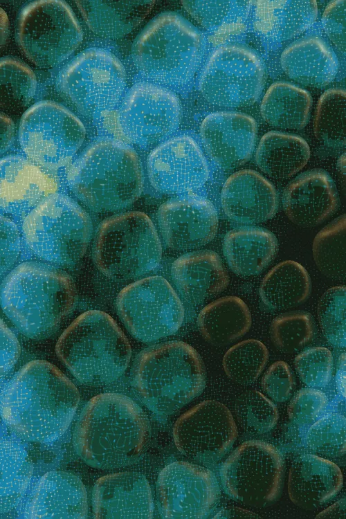 <p>Charlotte Dann’s “Vitreous” draws mysterious scenes of celestial arrangements and atomic bonds. Inspired by the artist’s fused glass practice, the background is layered with amorphous transparent forms that distort and magnify the art underneath, highlighting the abstract networks and connections that blur together upon first sight. In isolation, glass as a material is simple and transparent, but when used as a lens its most magical and unique property is revealed: the warping of perception. The new realities these distortions create are no less authentic than those absent of their effect – validating their alternate perspectives as an expansion of how we see our inner truth.</p>