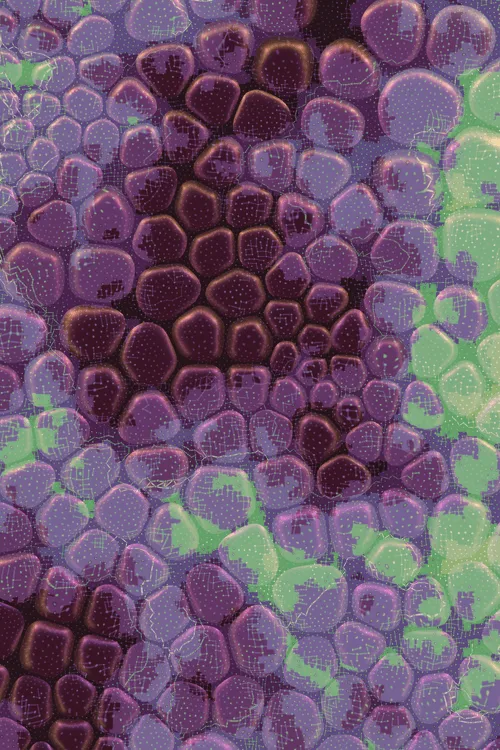 <p>Charlotte Dann’s “Vitreous” draws mysterious scenes of celestial arrangements and atomic bonds. Inspired by the artist’s fused glass practice, the background is layered with amorphous transparent forms that distort and magnify the art underneath, highlighting the abstract networks and connections that blur together upon first sight. In isolation, glass as a material is simple and transparent, but when used as a lens its most magical and unique property is revealed: the warping of perception. The new realities these distortions create are no less authentic than those absent of their effect – validating their alternate perspectives as an expansion of how we see our inner truth.</p>