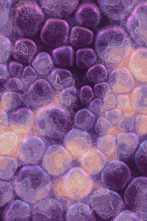 <p>Charlotte Dann’s “Vitreous” draws mysterious scenes of celestial arrangements and atomic bonds. Inspired by the artist’s fused glass practice, the background is layered with amorphous transparent forms that distort and magnify the art underneath, highlighting the abstract networks and connections that blur together upon first sight. In isolation, glass as a material is simple and transparent, but when used as a lens its most magical and unique property is revealed: the warping of perception. The new realities these distortions create are no less authentic than those absent of their effect – validating their alternate perspectives as an expansion of how we see our inner truth.</p>