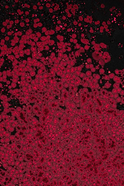 <p>David Seven’s “Dactylogram” emerges from the romantic ambition to embody the intricate essence of nature. In our relentless pursuit of equilibrium, beauty, and enlightenment, nature represents the idyllic state of these qualities. Nature silently catalyzes the mind, leading us toward moments of profound reflection, realization, and the occasional reset required to reach a state of harmony.</p>
<p>“Dactylogram” is a lens focusing on these very moments, capturing them as if an omnipresent camera gracefully traverses the vast expanses of our universe – from cosmos to microcosm to inner cosmos. Through a mesmerizing interplay of perspectives, textures, and the harmonious unification of elements, it gently beckons us to recognize a fundamental truth: the intricate interconnectedness of all aspects of nature, including ourselves. </p>
<p>It can be said that the deepest truth lies enshrined in the objective, constant forces that sculpt the universe. Unswayed by bias, immune to denial, they exist in a state of deterministic elegance that remains under influence from the chaotic dance of cosmic happenstance. It is precisely within the contradictions of this paradigm that we find the true essence of beauty and a poignant reminder of the uncontrollable balance of existence – the truth of nature. “Dactylogram” is simply a reminder of this truth, capturing a fleeting moment whose humble truth is proven by its creation – just as profound as the most enduring natural phenomena, and a testament to the enigmatic allure of gazing deep into the cosmos, in whichever direction it might be.</p>