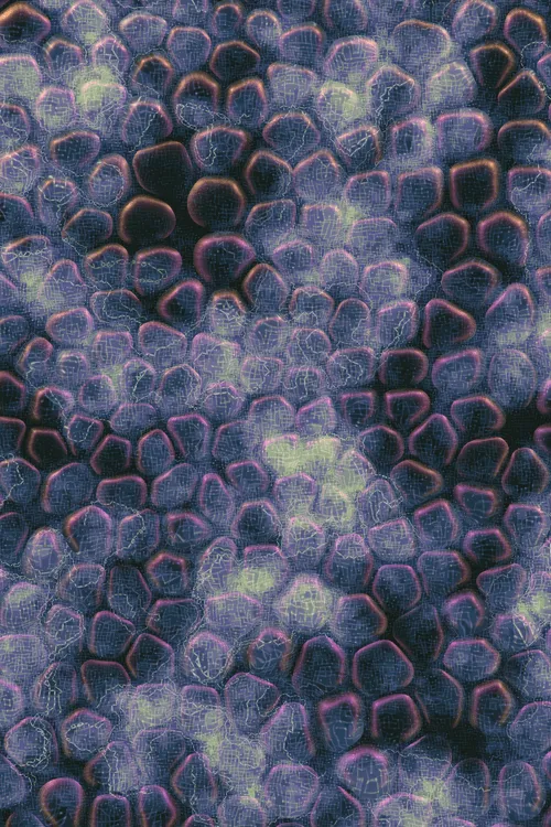 <p>Charlotte Dann’s “Vitreous” draws mysterious scenes of celestial arrangements and atomic bonds. Inspired by the artist’s fused glass practice, the background is layered with amorphous transparent forms that distort and magnify the art underneath, highlighting the abstract networks and connections that blur together upon first sight. In isolation, glass as a material is simple and transparent, but when used as a lens its most magical and unique property is revealed: the warping of perception. The new realities these distortions create are no less authentic than those absent of their effect – validating their alternate perspectives as an expansion of how we see our inner truth.</p>