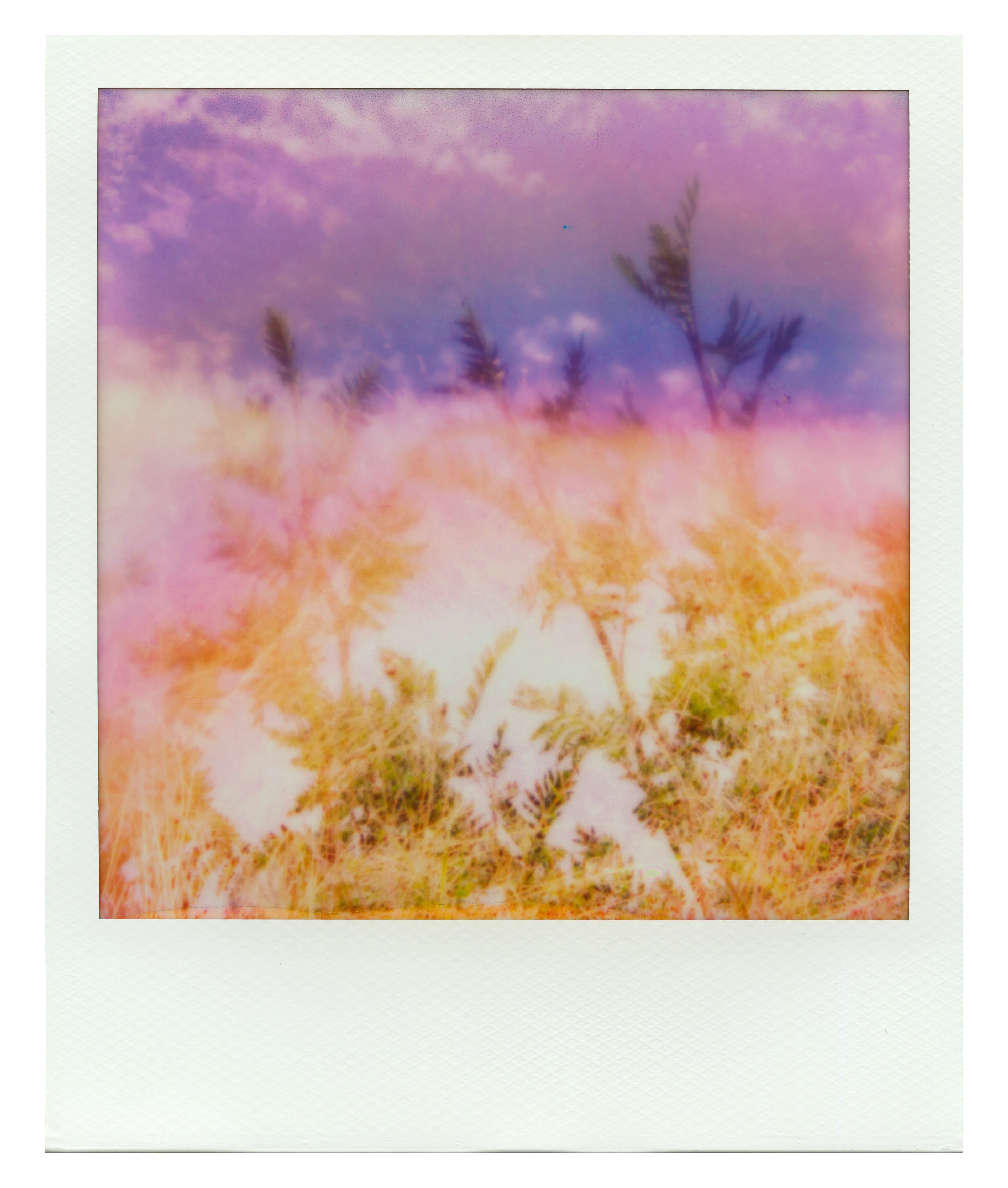 May Summer never end. That feeling at the end of a sun and water-filled day after entering flow state with nature. 

Endless Summer Manifestations are created by visual artist Jennifer Panepinto, QuantumSpirit. 

Each token contains the intention of positive energy.  In addition, each token contains the intention of the feeling of summer bliss.

The image and color effects are captured entirely on the original instant film print.