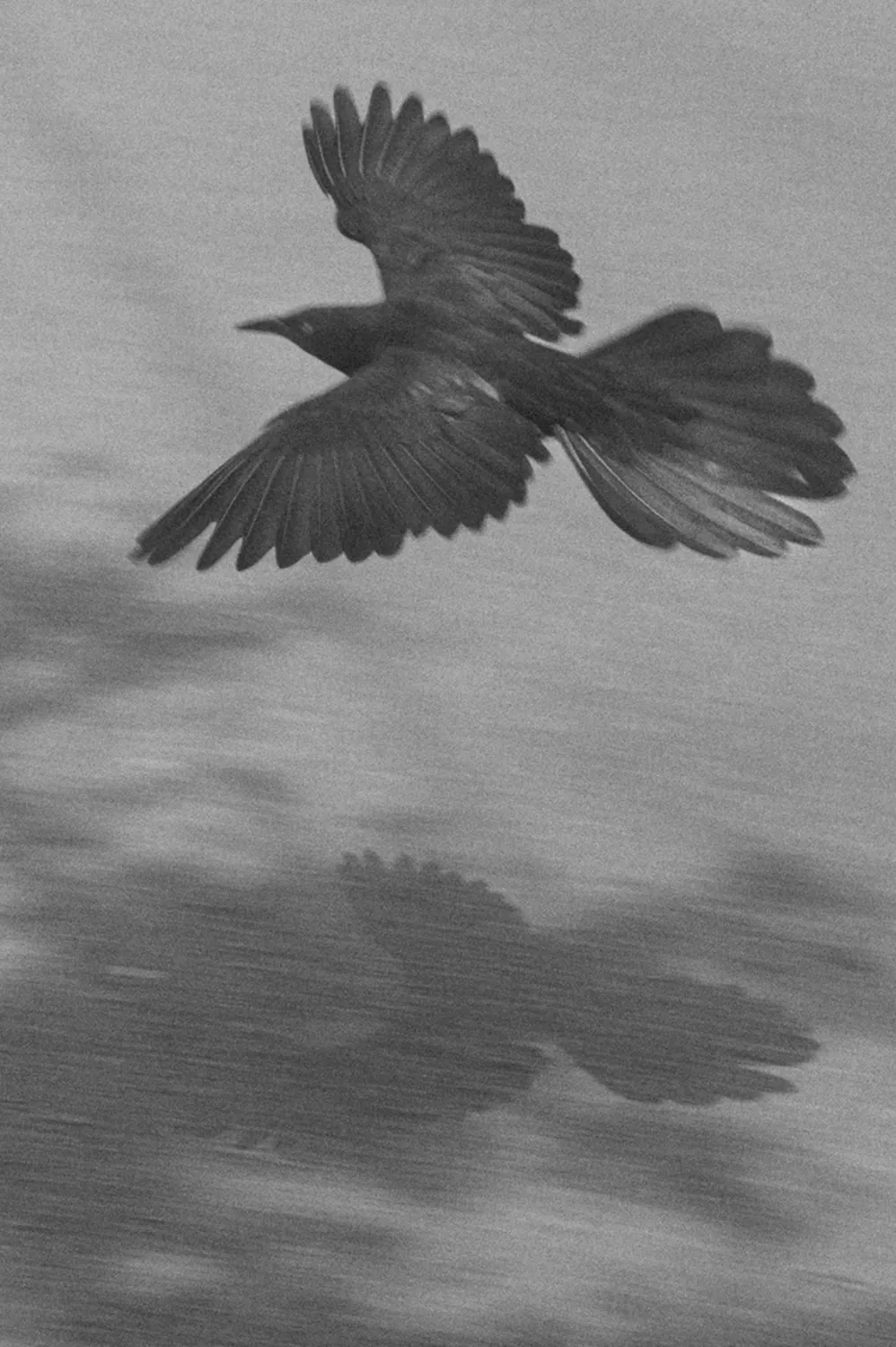 A meditation on that which goes away.