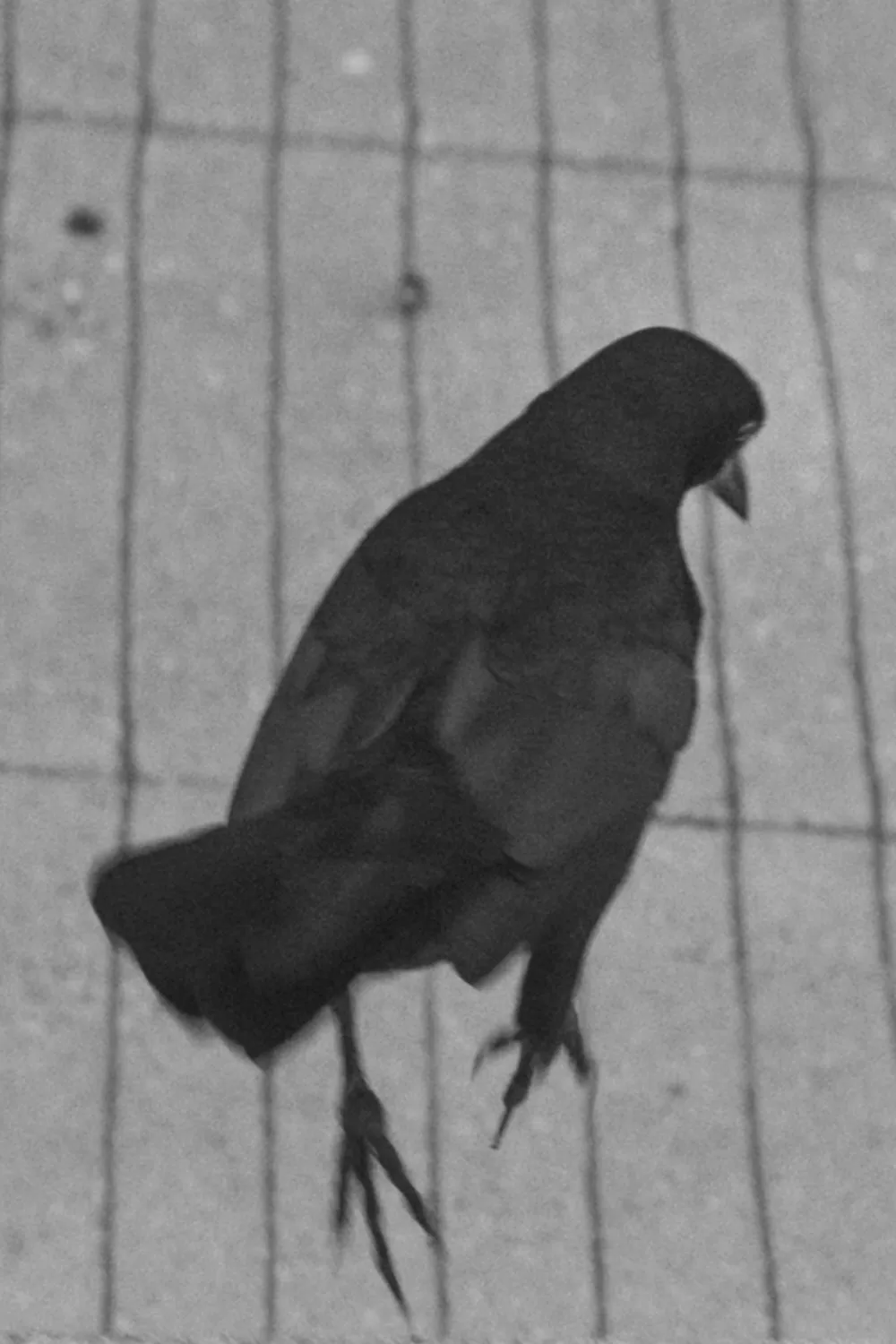 A meditation on that which goes away.