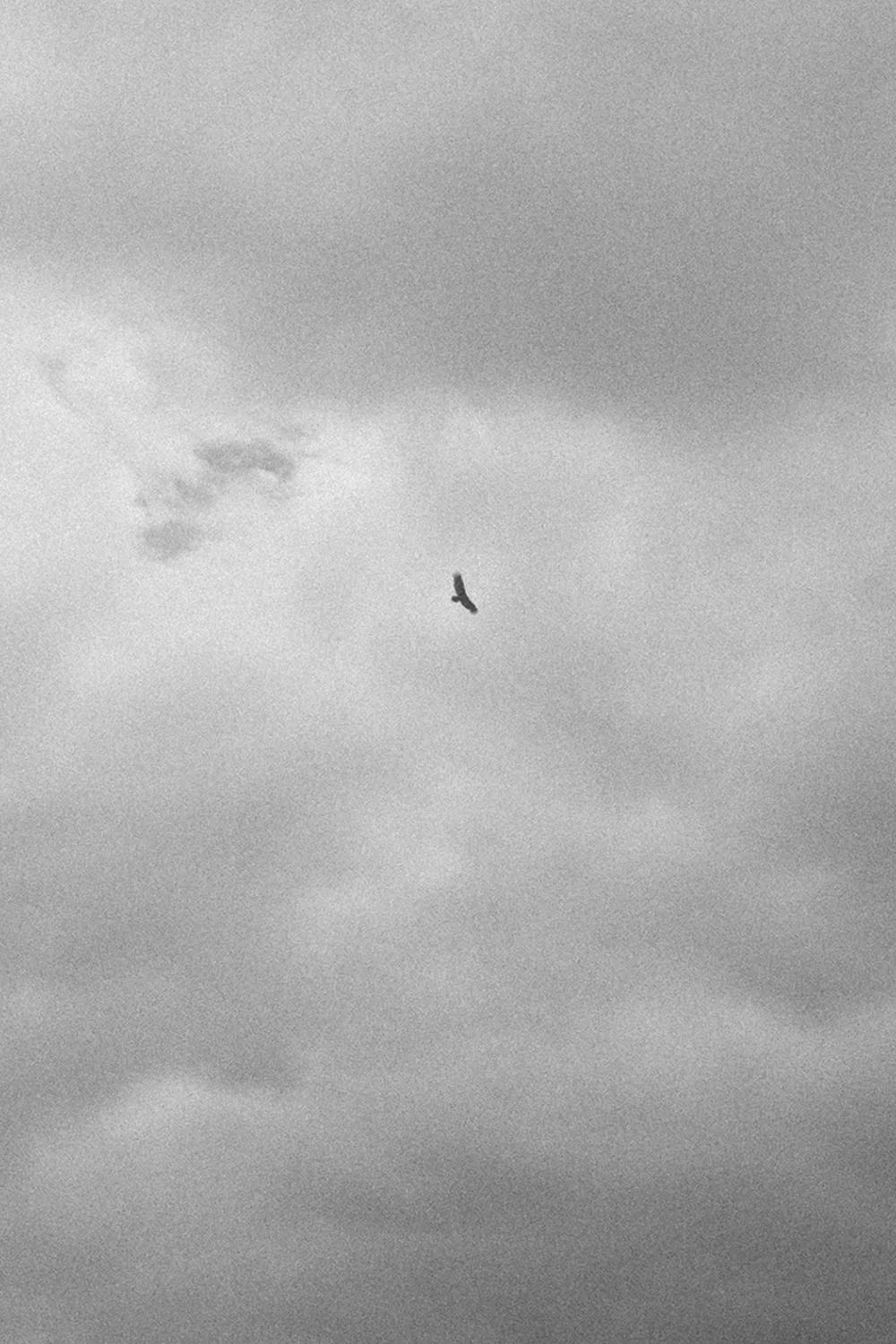 A meditation on that which goes away.