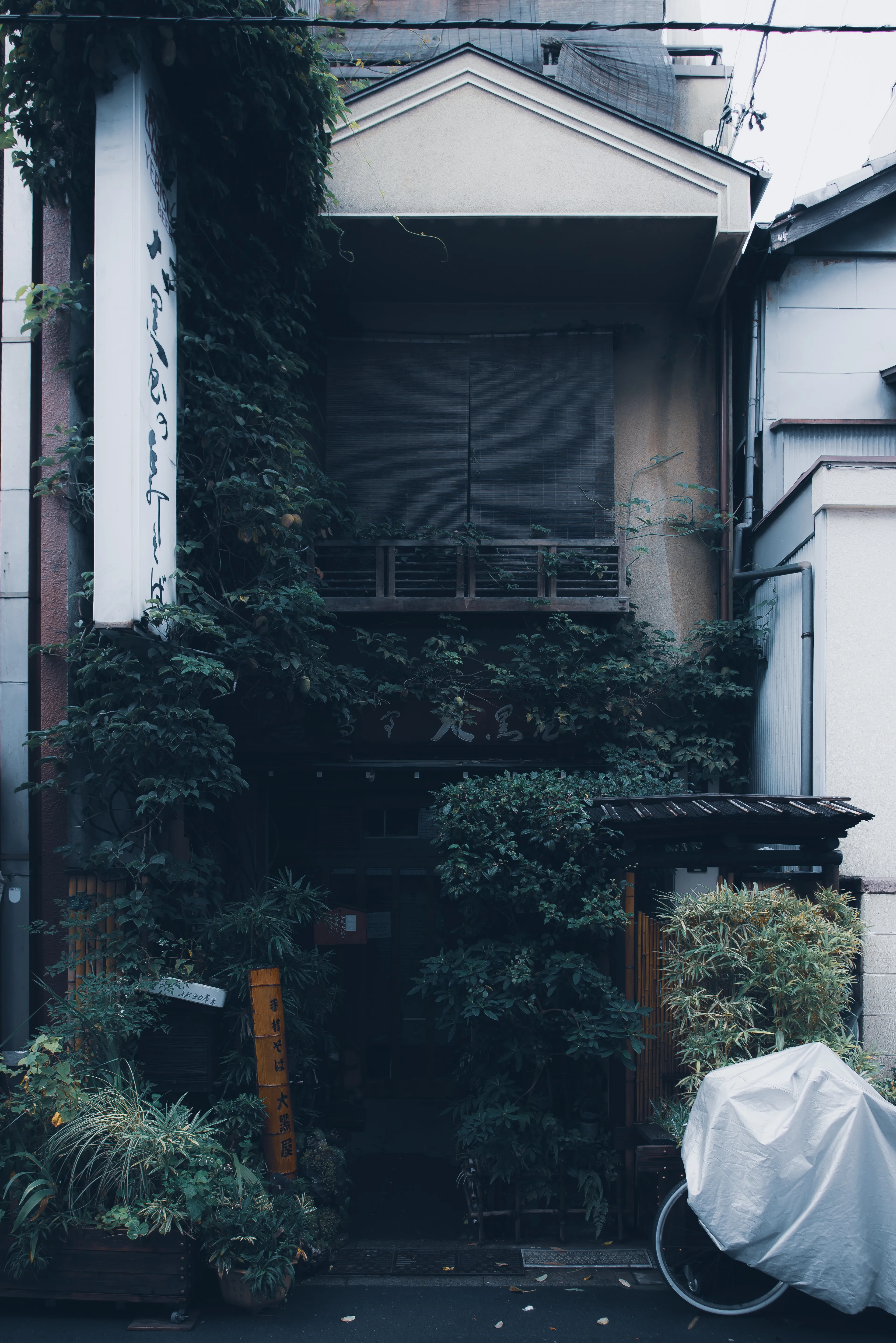 Wabi-sabi is a Japanese word that roughly translates to "beauty in imperfection", an aesthetic present in all shapes across Japan, and not just in arts. Beauty awaits at every corner when strolling the streets of Tokyo – if one knows where to look!

In this collection, I wish to share some of the beauty I found in unexpected places.

Resolution 4000*6000px
