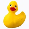 A tribute to dispaly picture on MSN, before than PFP were a thing. 