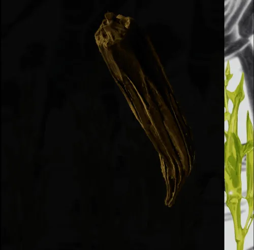 Stephanie Dinkins' “Okra Continuum” is a series of 100 images depicting an okra pod's travels through space and time. The NFTs created for the project are offered sight unseen, and purchases unveil story nodes mixing past, present, and future that are shared online. Okra was brought to North America by enslaved people and settlers when they arrived centuries ago and has sustained itself and others in often hostile environments. Dinkins generated the backgrounds of the visual story with AI (Stable Diffusion) combined with hands-on editing to capture moments from this journey through time. She poetically uses okra as a plentiful time bender evoking the Africans with whom it traveled east and continuing its path in virtual space. The story of “Okra Continuum” gestures toward repair, underscoring the pod’s role as a carrier of nutrients that has continuously extended and reoriented collective stories.

[Please check the <a href="https://okra-continuum.net" target="_blank" class="link">okra-continuum.net</a> website for seeing the story unfold.]