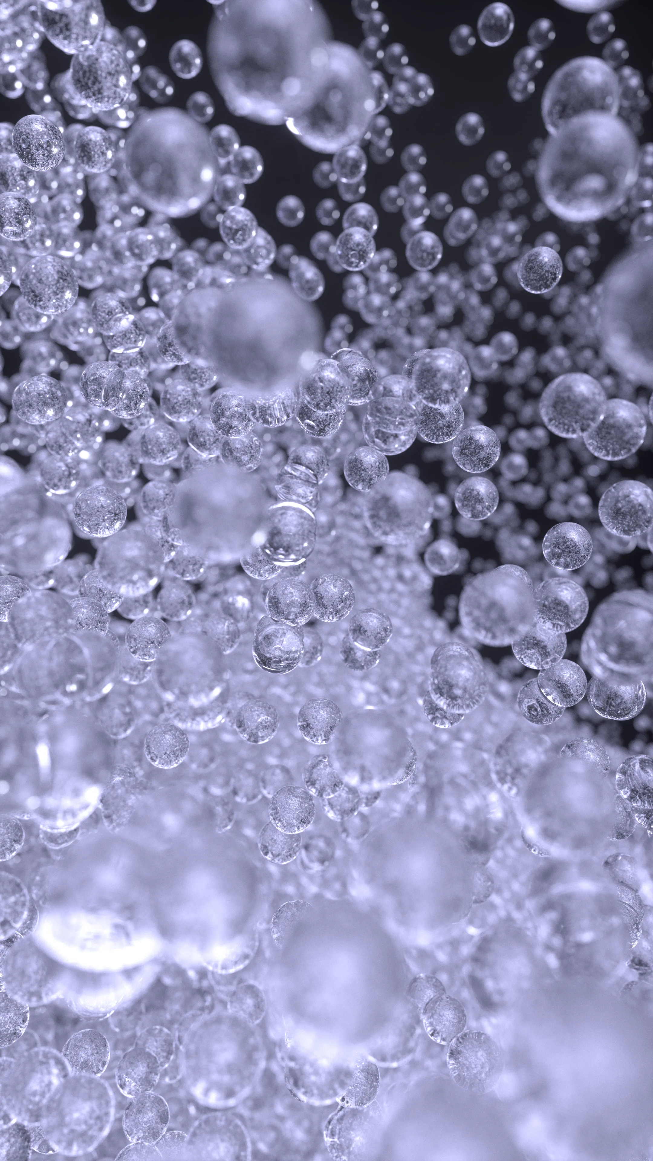 Transparency by Carlos Marcial