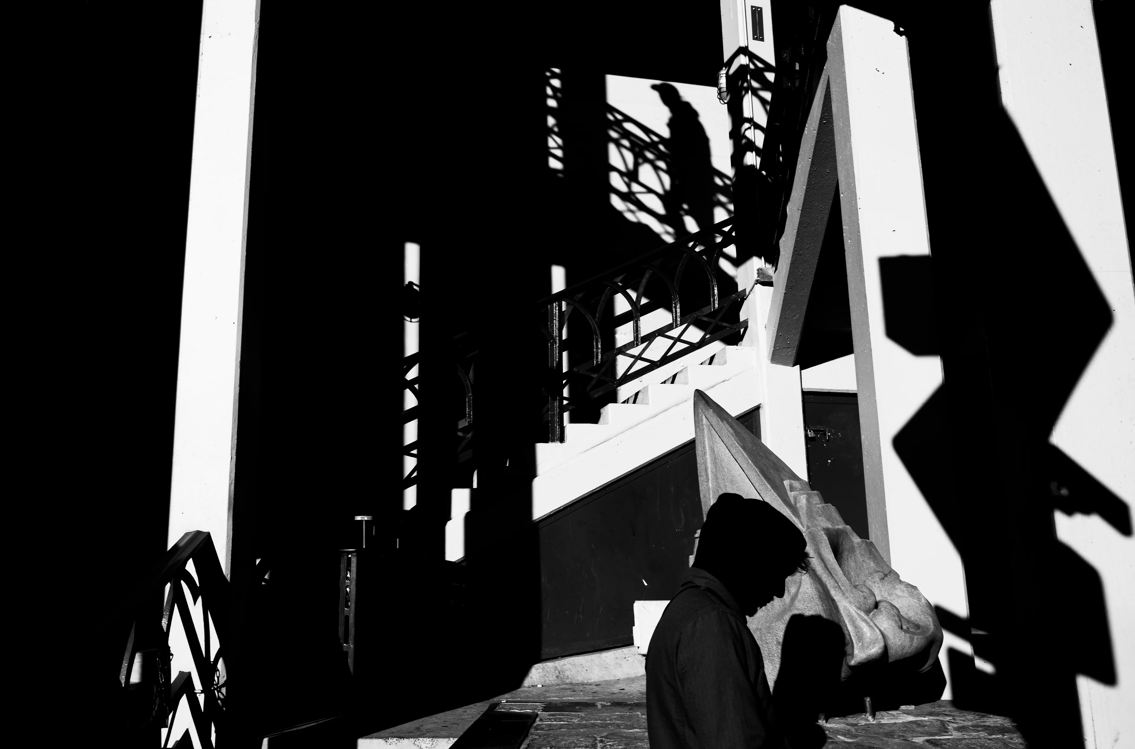Immersed in a monochromatic landscape of surrealism, Tin Lizards is a testament to the enduring allure of train travel. As the rhythmic clatter of steel on steel propels forward, Robert Leblanc captures the essence of exploration and discovery, weaving a captivating tapestry of photographs from the places he encounters, showcasing the delicate balance between stillness and movement. From the solitude of his sleeper car to the enchanting hush of small towns and the bustling energy of major cities, LeBlanc adeptly frames these diverse landscapes with an artistic eye that finds beauty in even the quietest moments.

Cultivated at the intersection of photography and digital artistry, Tin Lizards blossomed from the collaborative efforts of LeBlanc and 96 Studio, accompanied by a handpicked assembly of ten art collectors. Each collector was granted a ticket to access the project's voting token-gated website.These collectors didn't merely observe; they actively steered the project's direction. Through online voting, they charted the course of Amtrak destinations. They even weighed in on Robert's dining and lodging choices, akin to the interactive allure of 'choose your own adventure' narratives, albeit in a digital arena. This immersive journey endows collectors with a distinctive vantage point, allowing them to witness the birth and execution of a creative vision. Furthermore, they participate in curatorial decisions, influencing the final selection of images in the series.  
