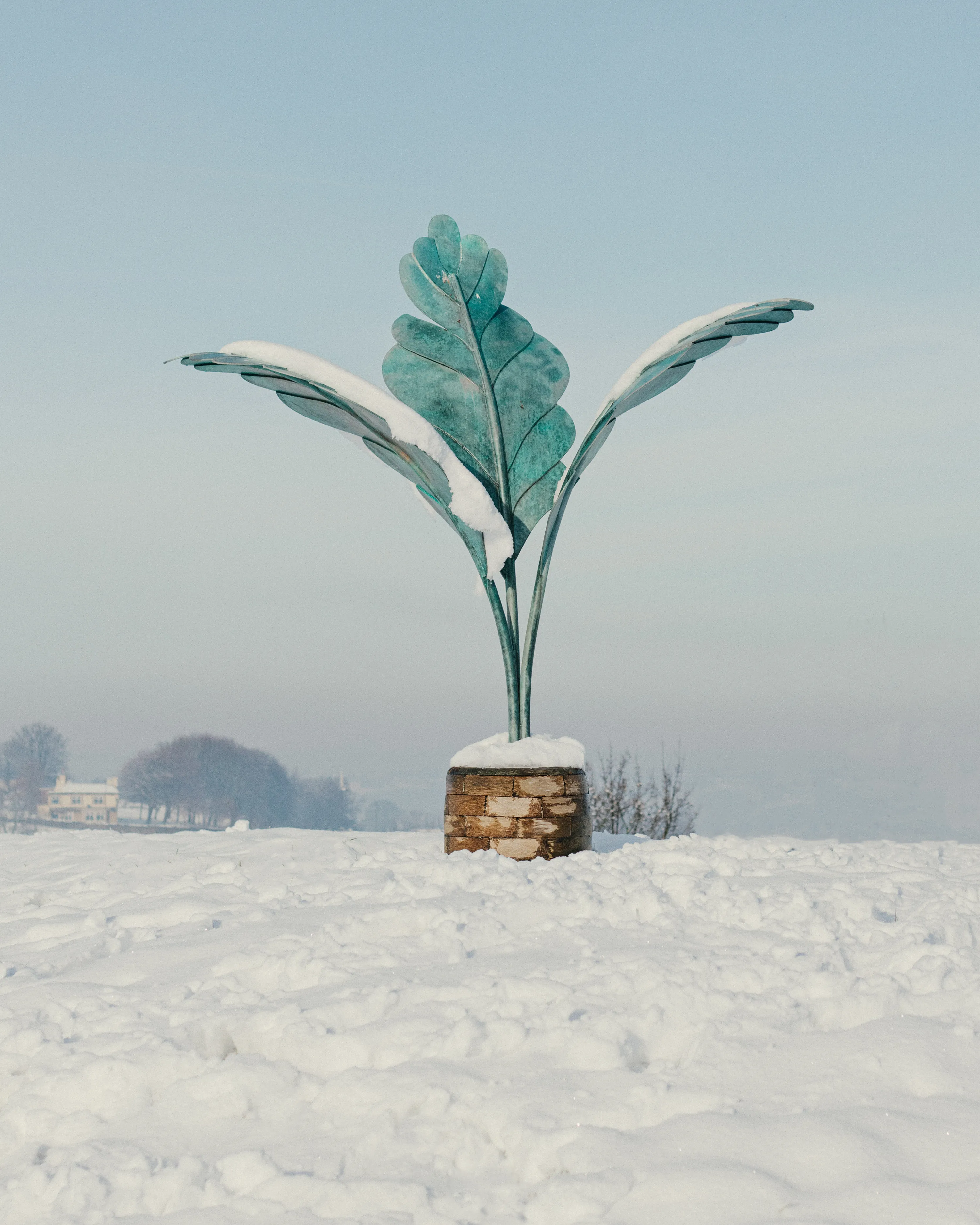 Sculpture, Manor Fields Park.

20.01.2021
