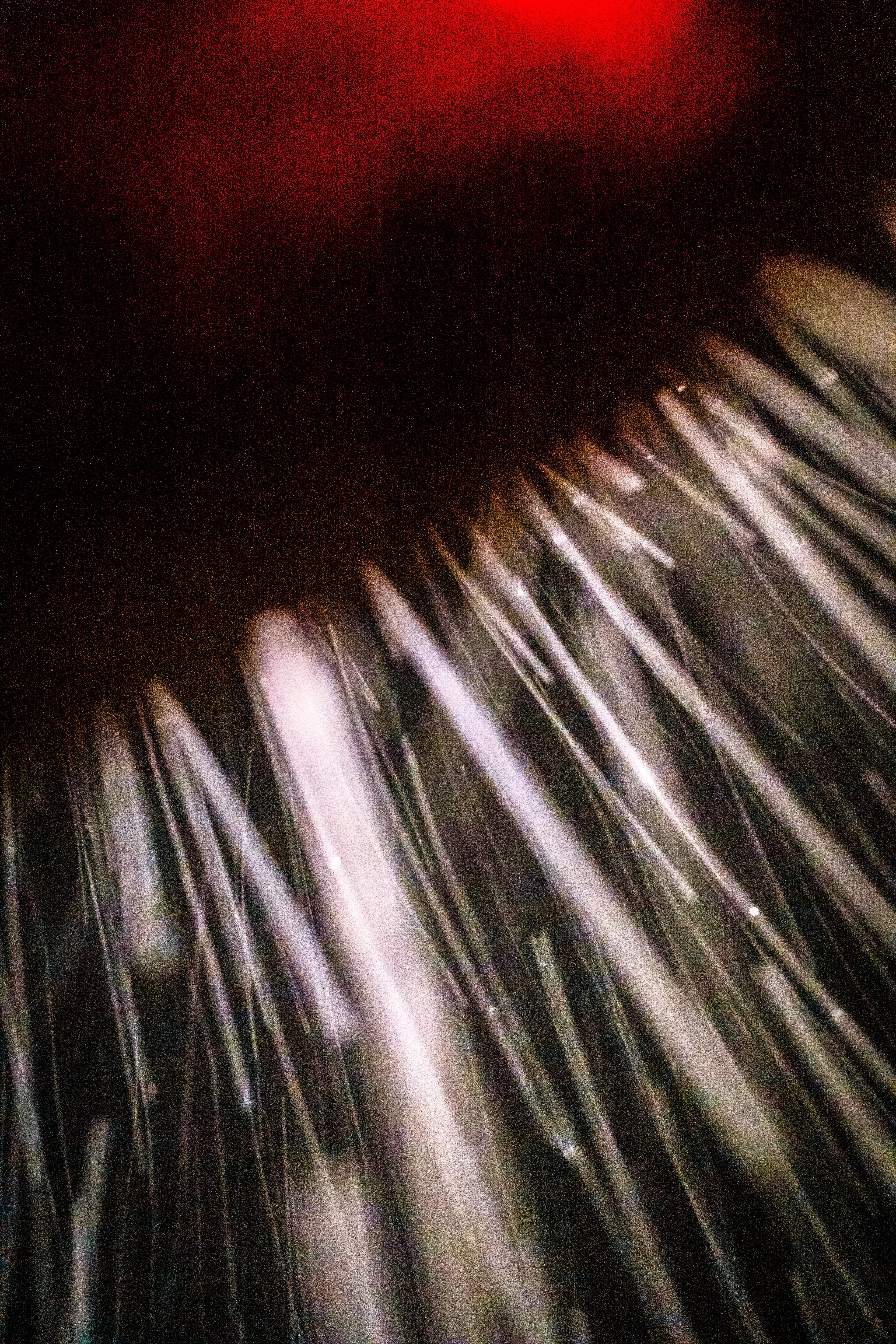Peer into the looking glass of the SLURRIEST OF SEASONS. Photographic capture as physically generative action focuses into the light at the center of the storm. 