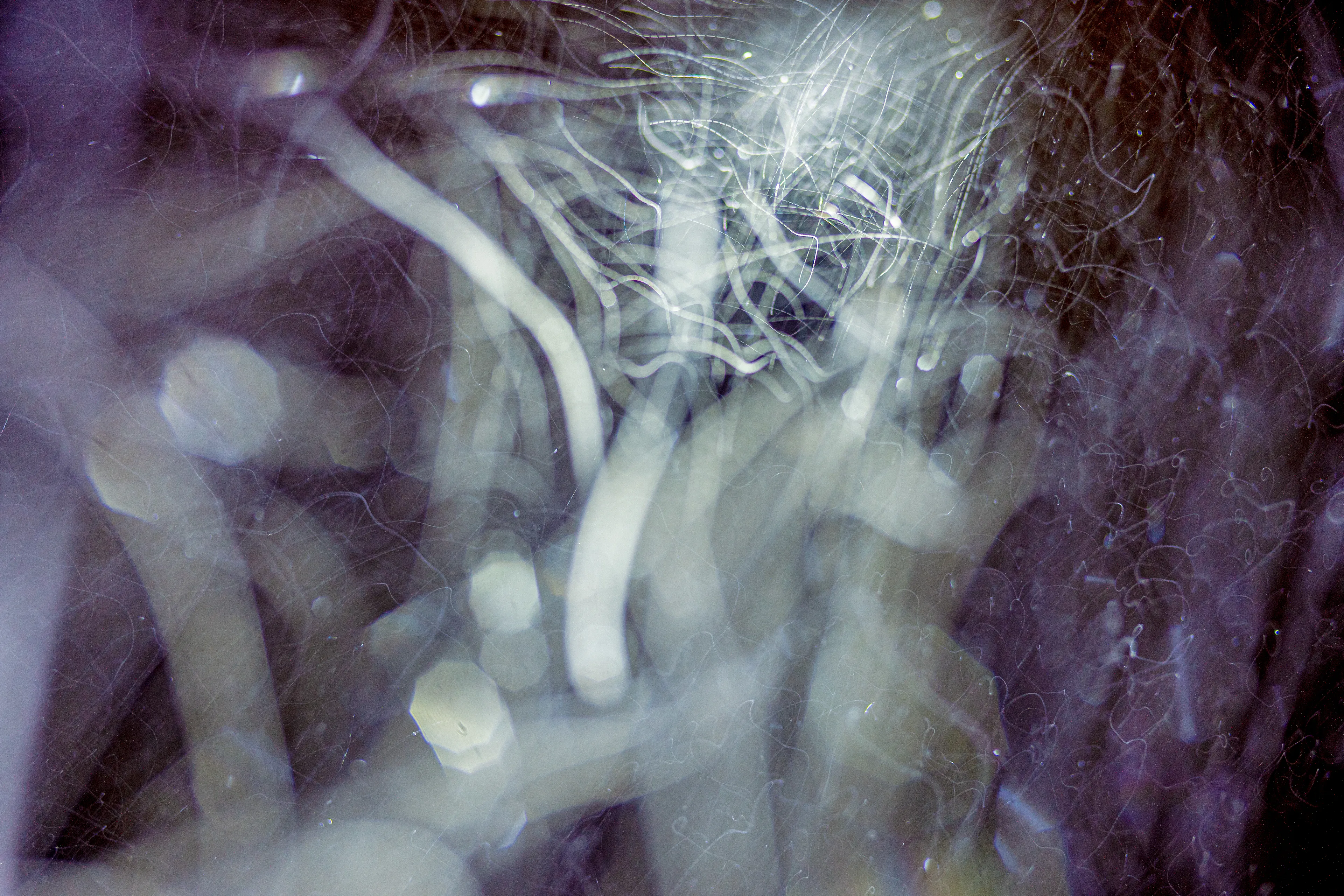 Peer into the looking glass of the SLURRIEST OF SEASONS; Photographic capture as physically generative action focuses into the light at the center of the storm. 