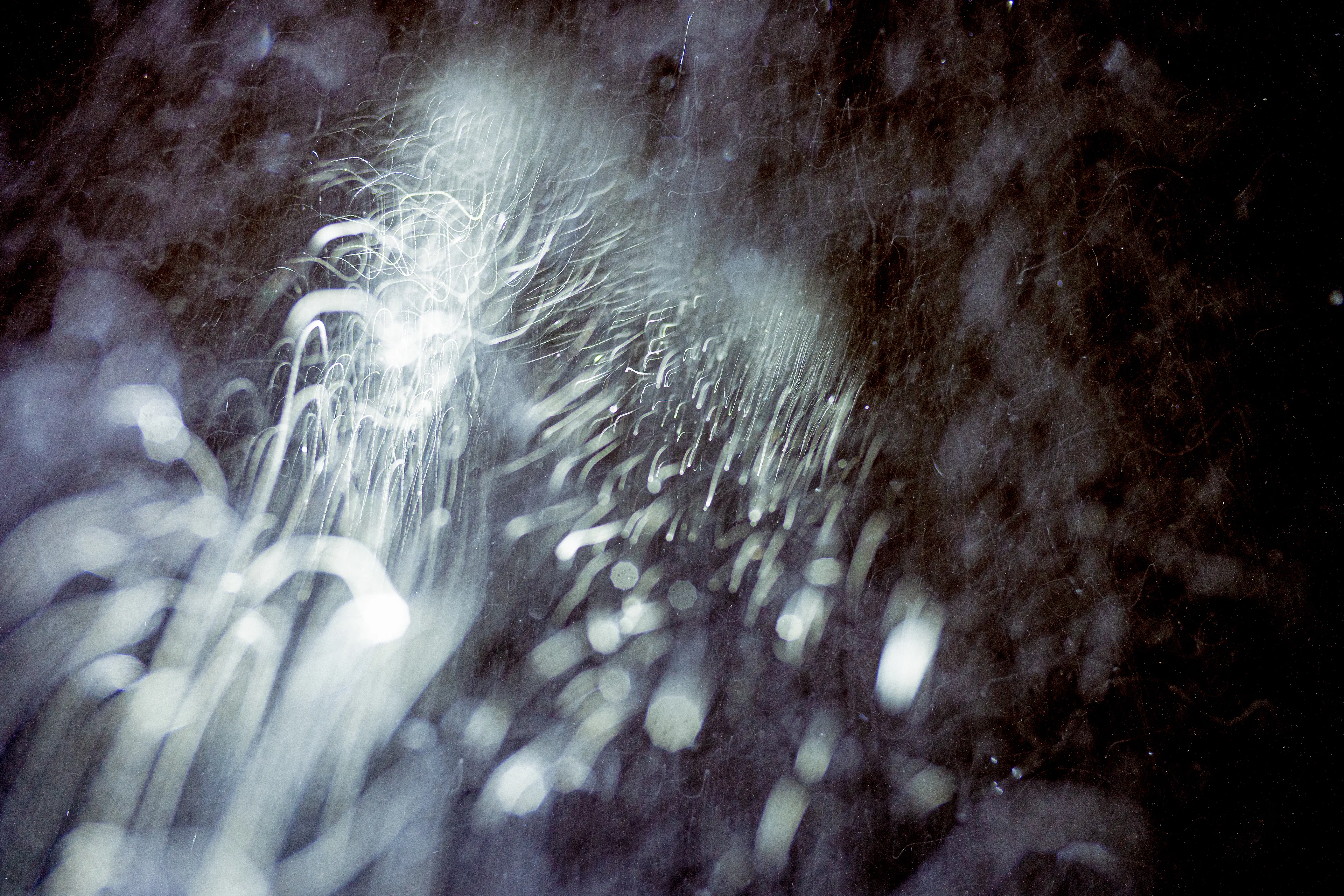 Peer into the looking glass of the SLURRIEST OF SEASONS. Photographic capture as physically generative action focuses into the light at the center of the storm. 