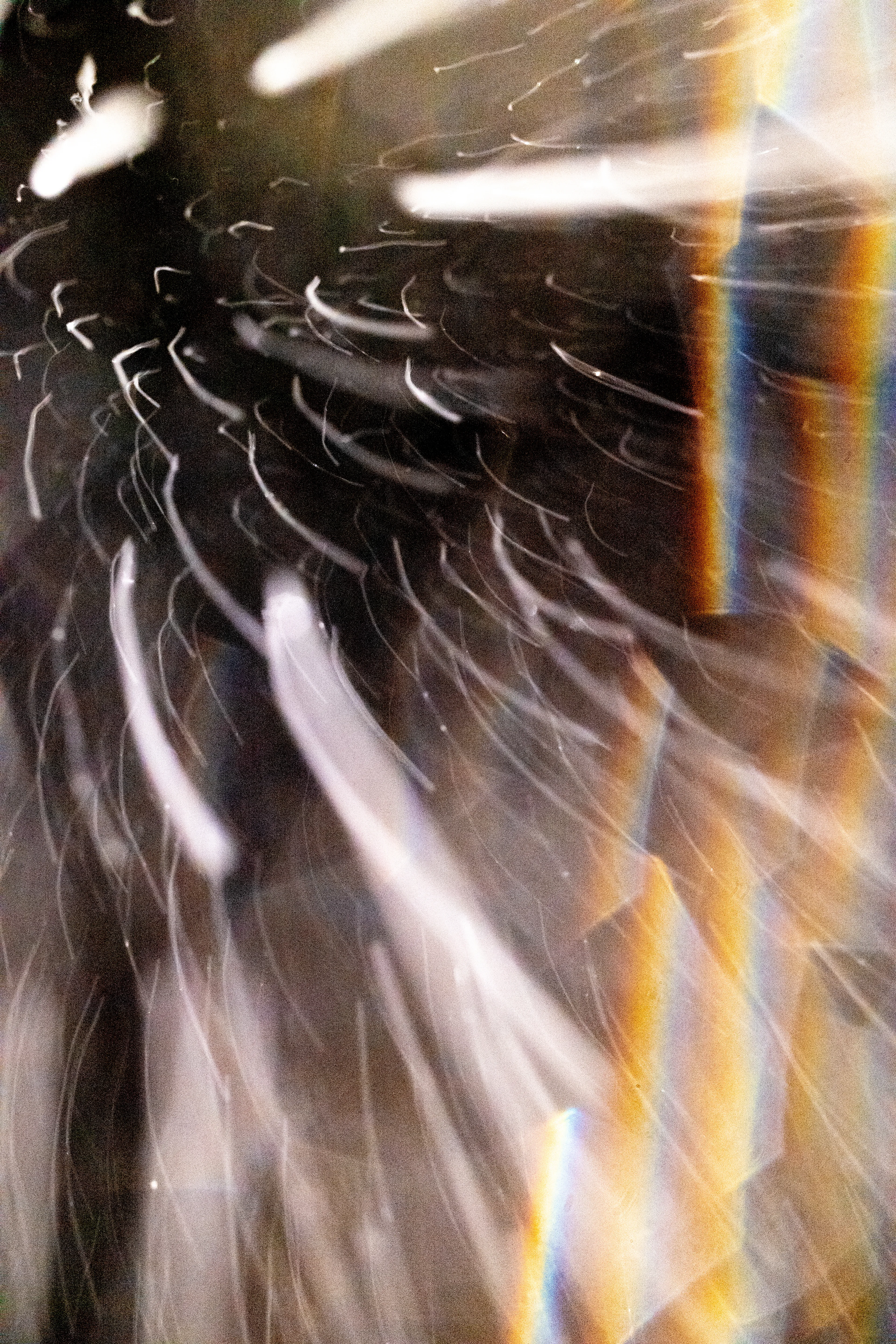 Peer into the looking glass of the SLURRIEST OF SEASONS. Photographic capture as physically generative action focuses into the light at the center of the storm. 