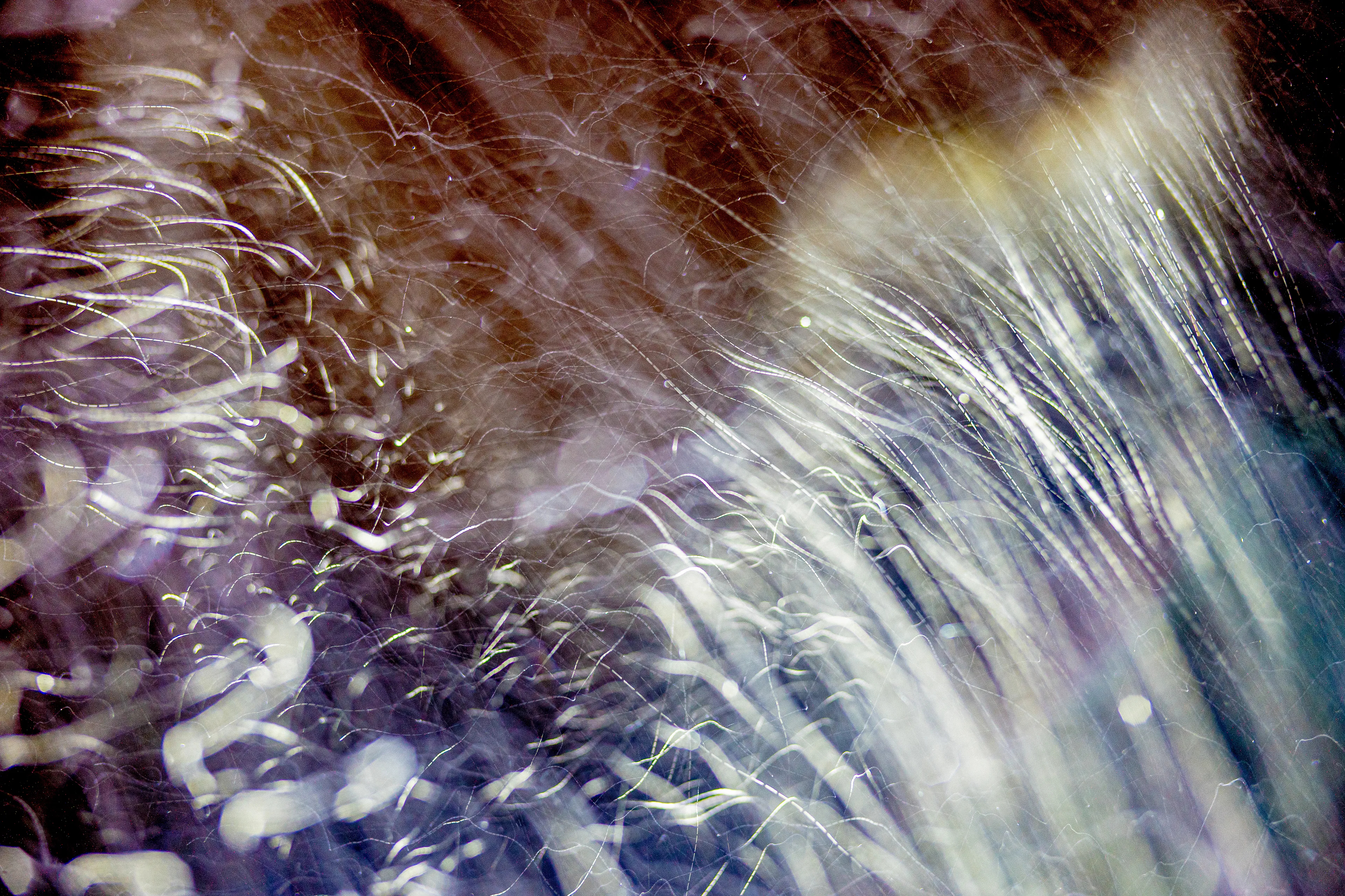 Peer into the looking glass of the SLURRIEST OF SEASONS. Photographic capture as physically generative action focuses into the light at the center of the storm. 