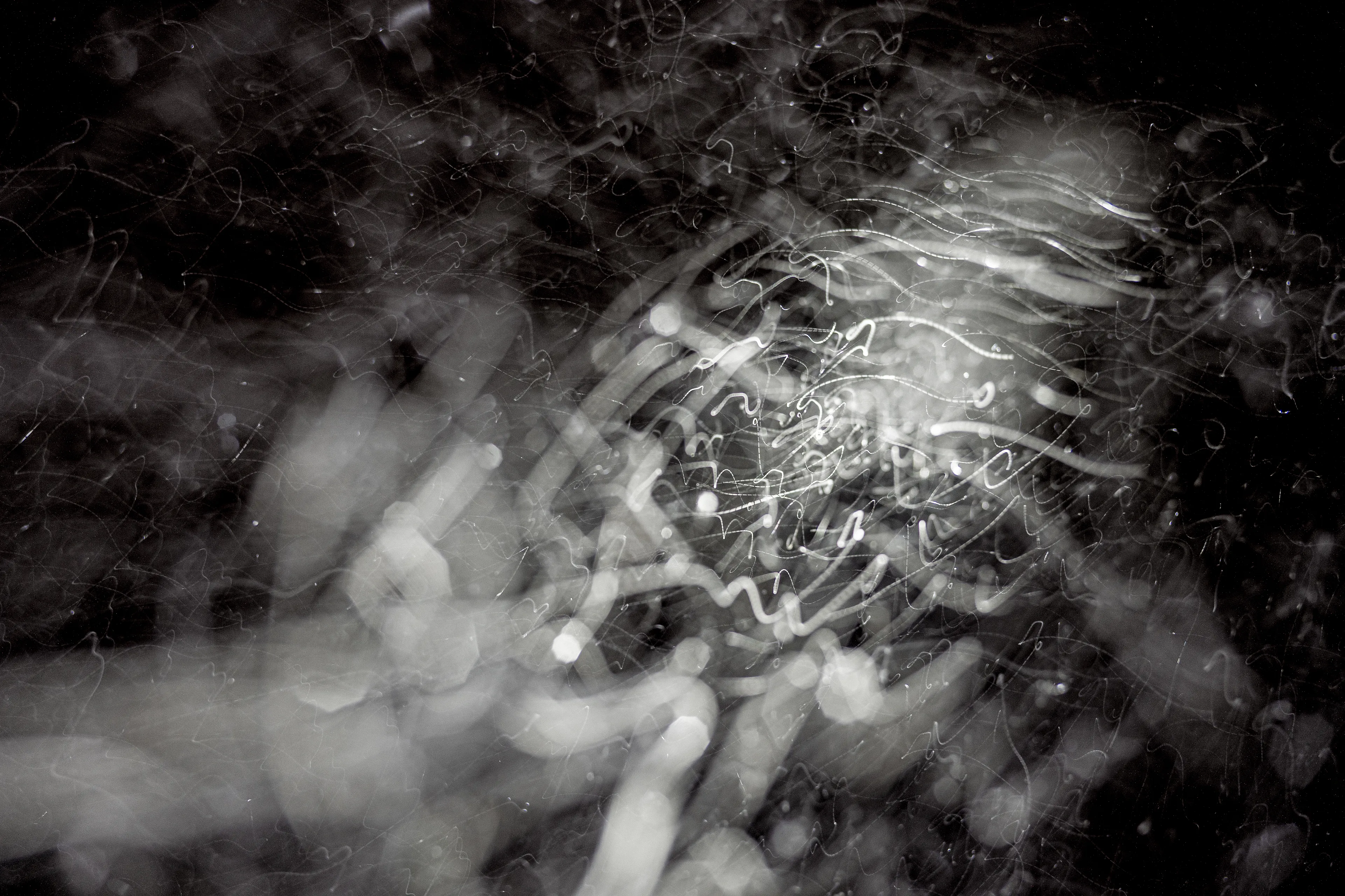 Peer into the looking glass of the SLURRIEST OF SEASONS. Photographic capture as physically generative action focuses into the light at the center of the storm. 