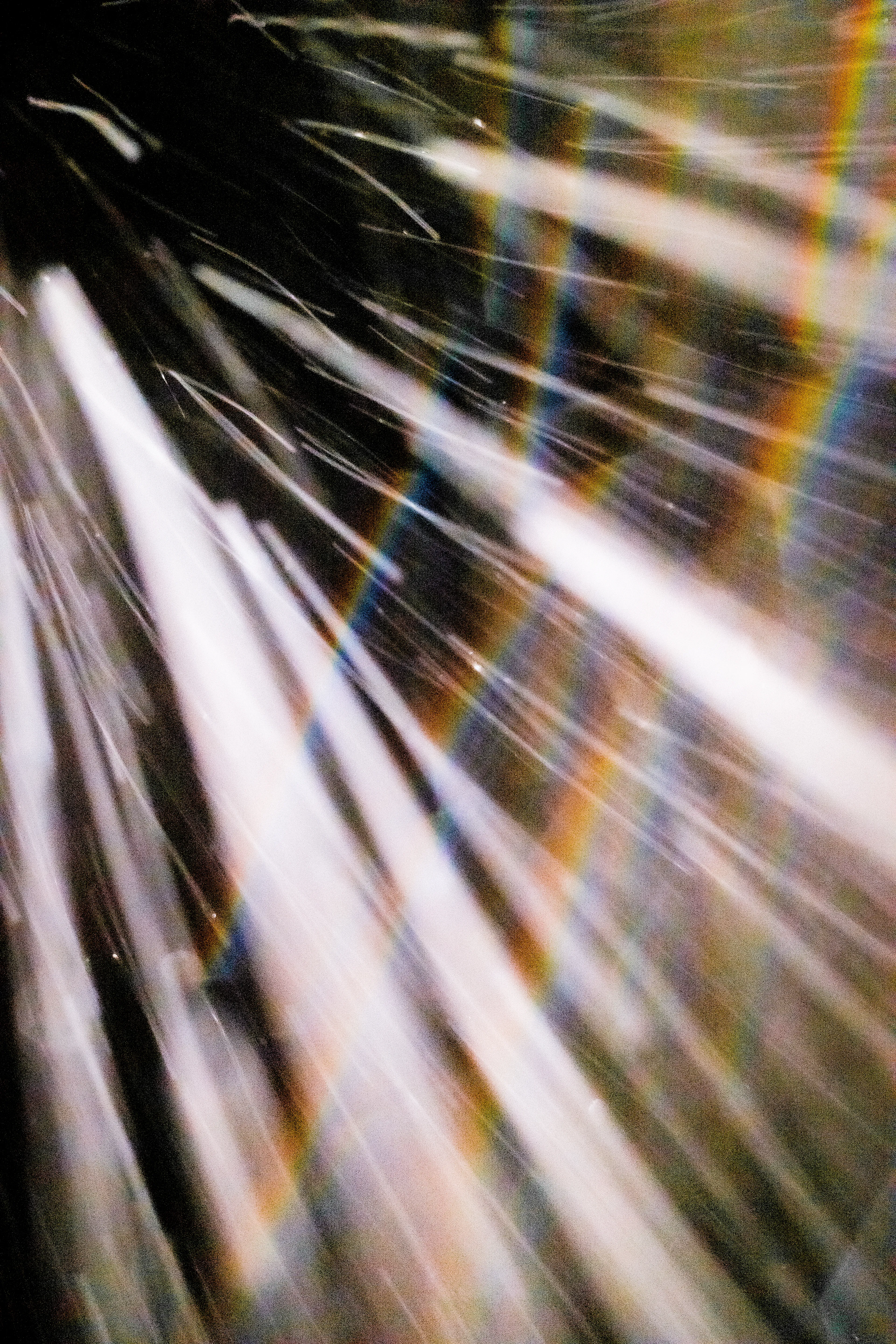 Peer into the looking glass of the SLURRIEST OF SEASONS. Photographic capture as physically generative action focuses into the light at the center of the storm. 