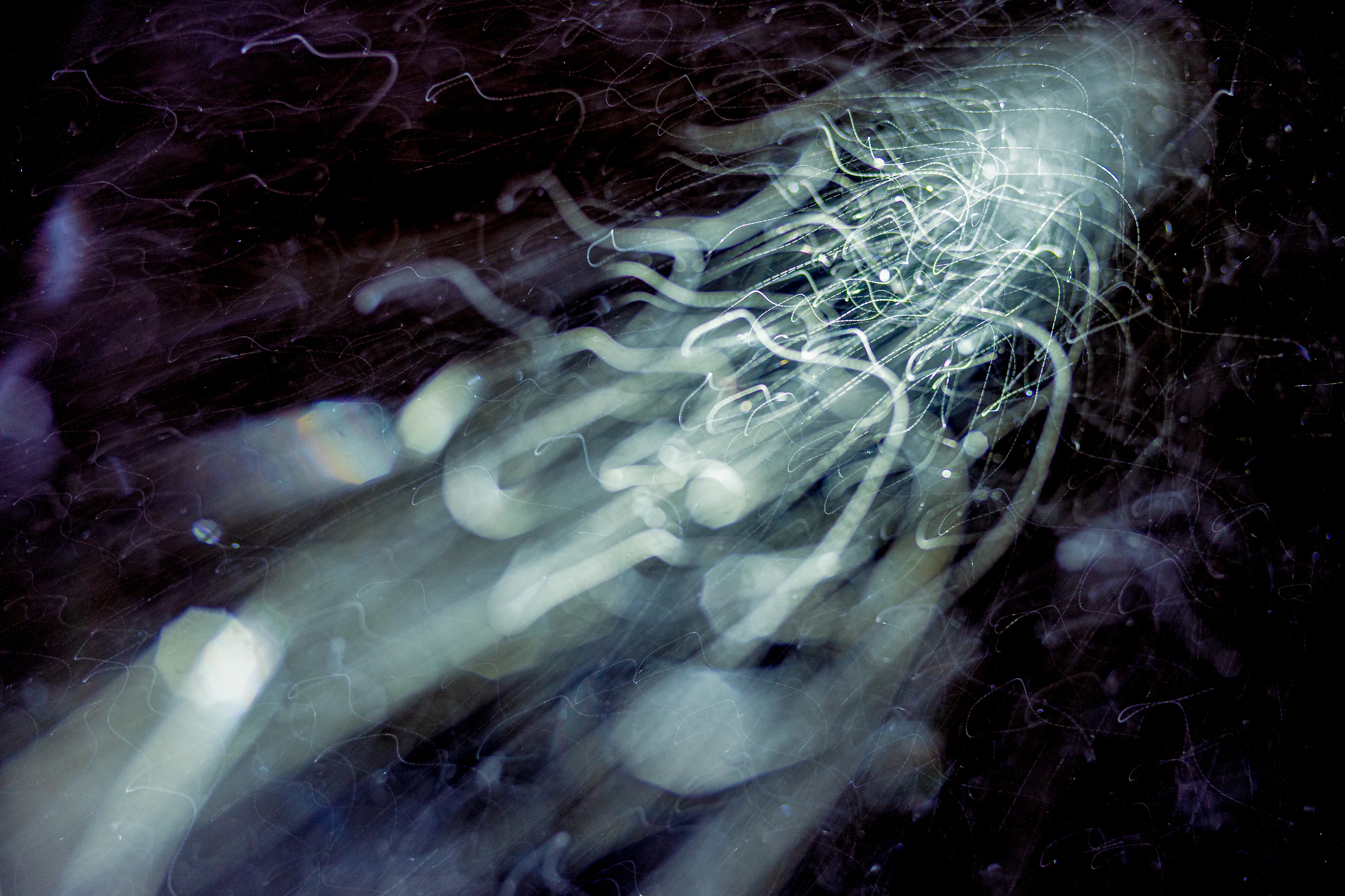 Peer into the looking glass of the SLURRIEST OF SEASONS. Photographic capture as physically generative action focuses into the light at the center of the storm. 