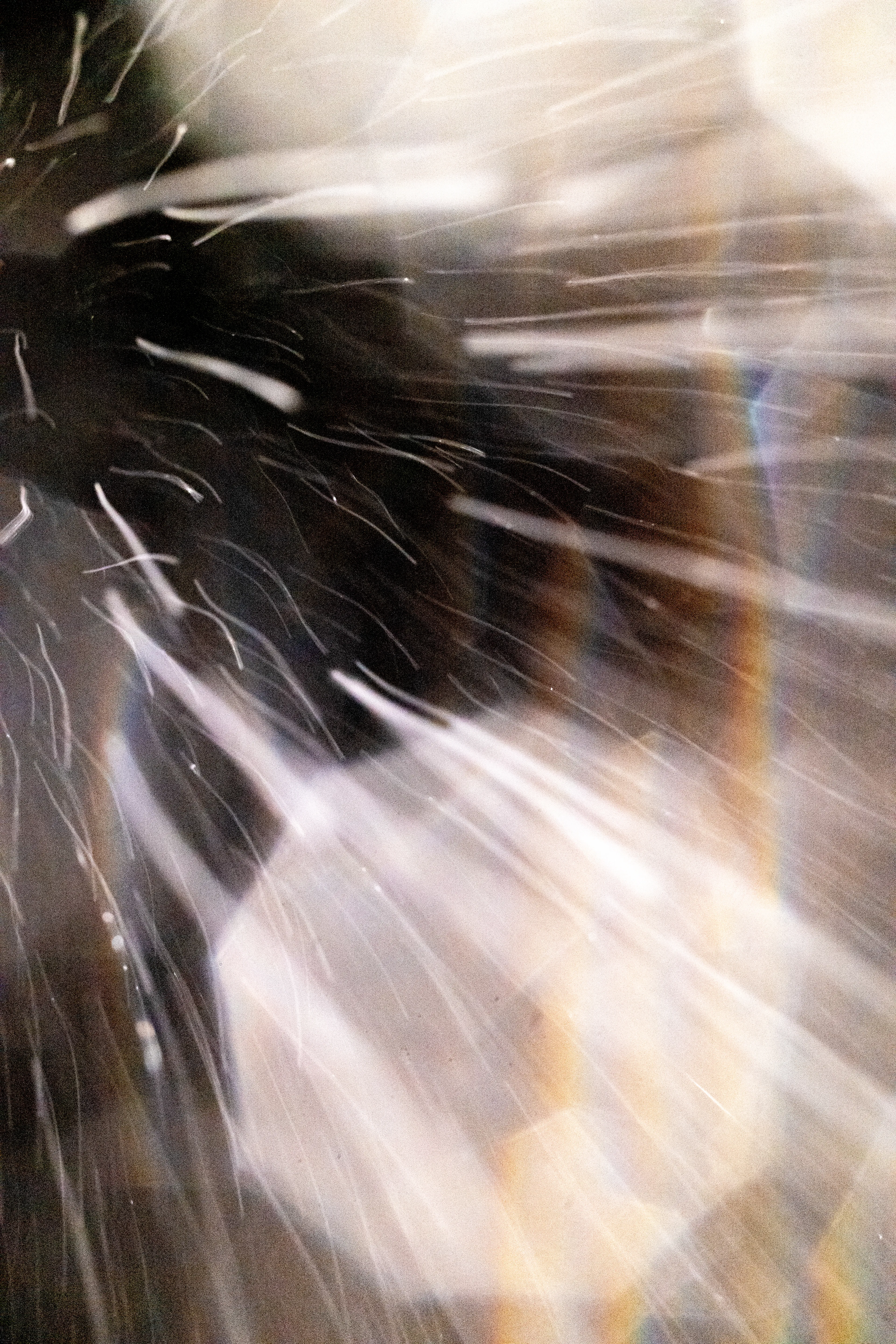 Peer into the looking glass of the SLURRIEST OF SEASONS. Photographic capture as physically generative action focuses into the light at the center of the storm. 