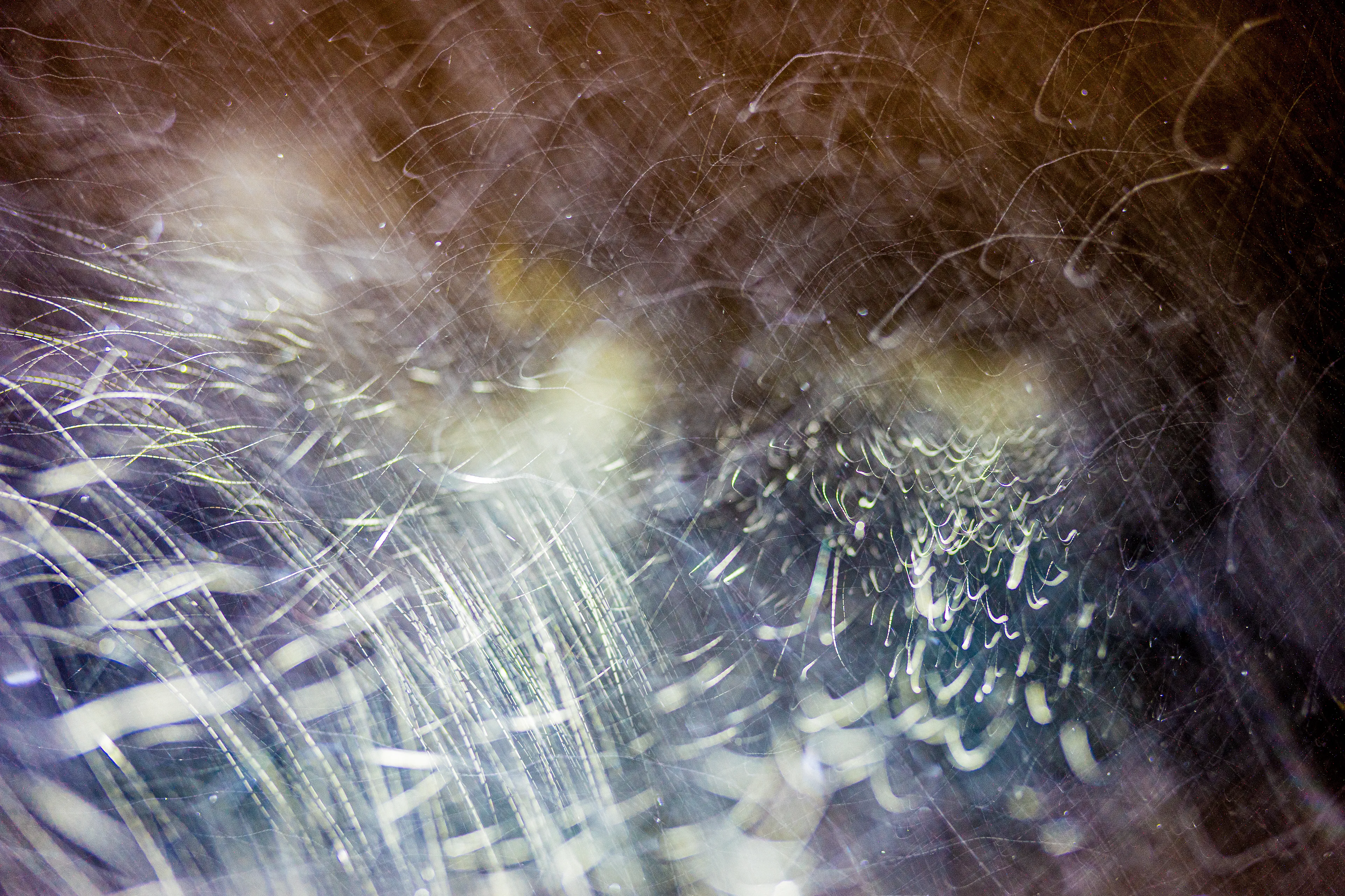 Peer into the looking glass of the SLURRIEST OF SEASONS. Photographic capture as physically generative action focuses into the light at the center of the storm. 