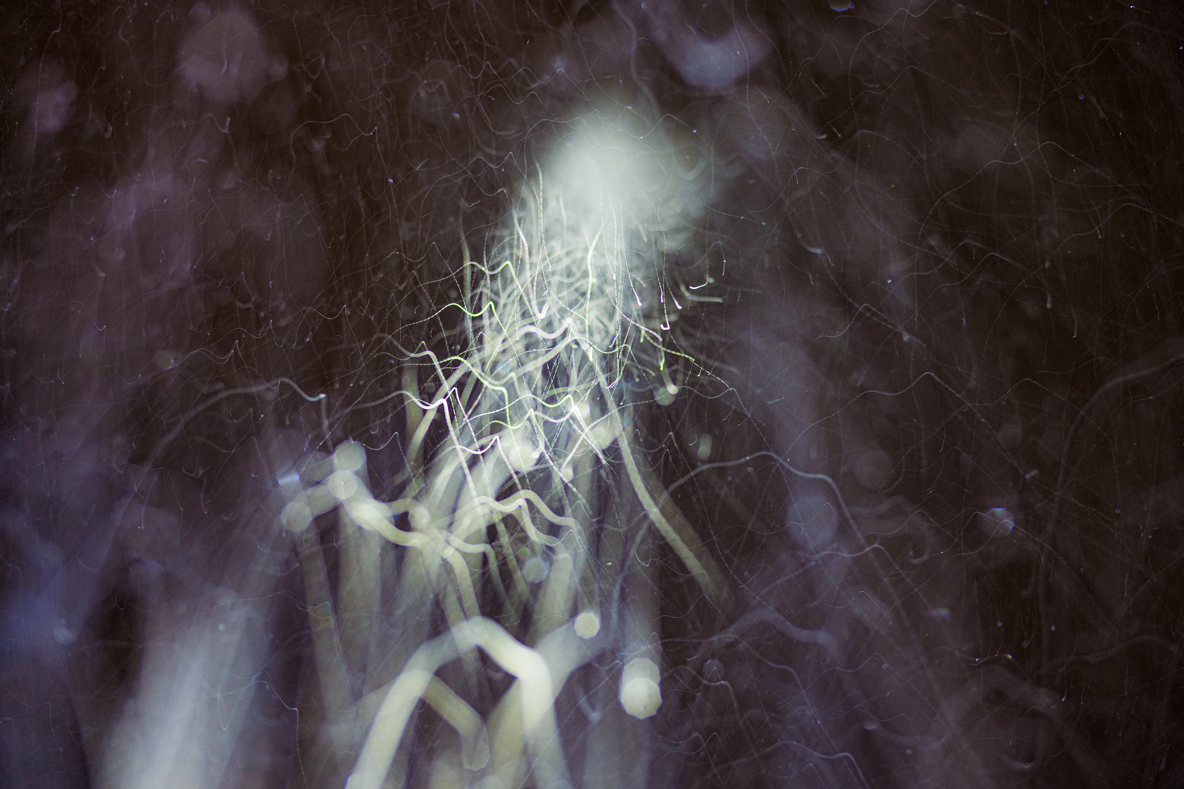 Peer into the looking glass of the SLURRIEST OF SEASONS. Photographic capture as physically generative action focuses into the light at the center of the storm. 
