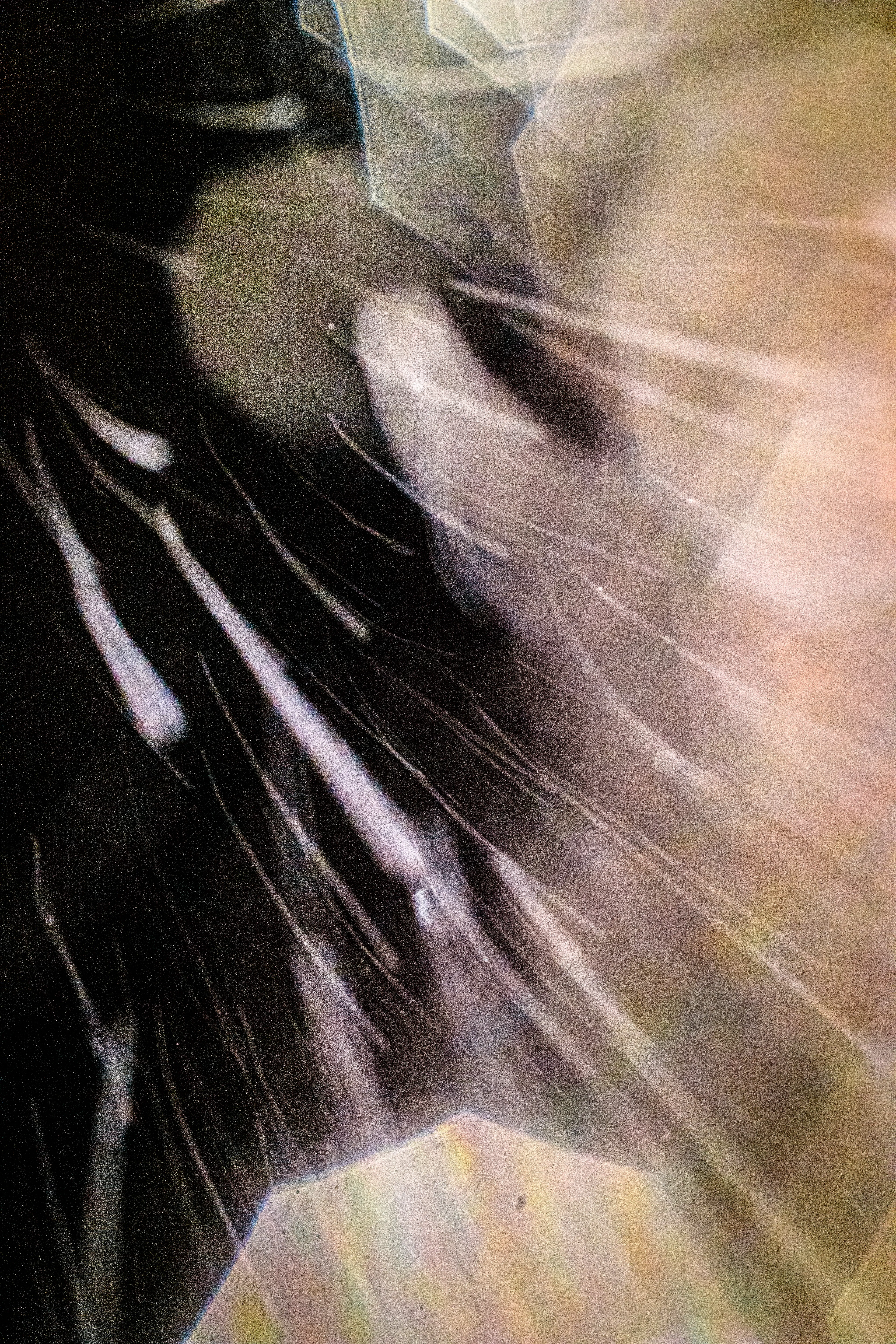 Peer into the looking glass of the SLURRIEST OF SEASONS. Photographic capture as physically generative action focuses into the light at the center of the storm. 