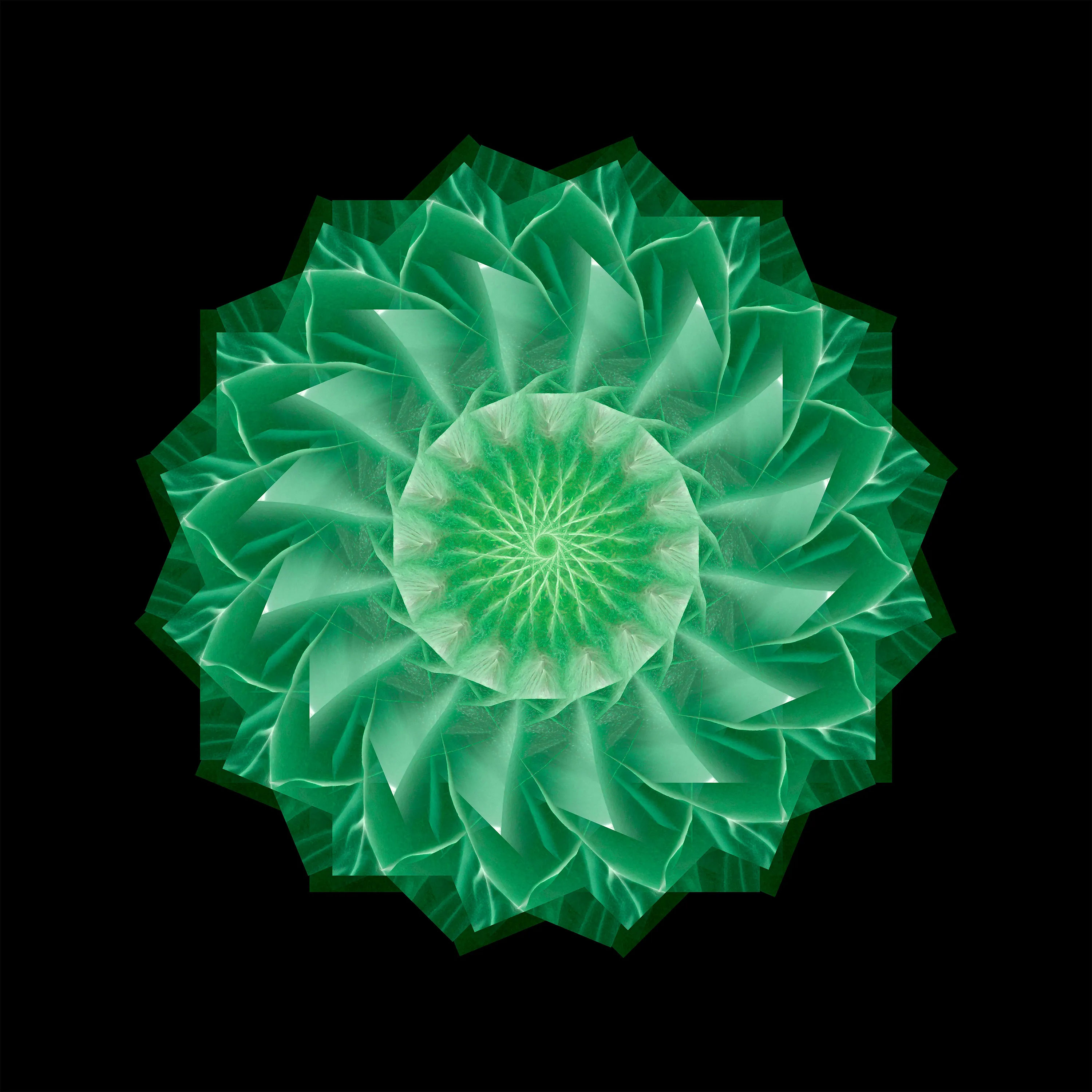 The essence of Yin, in green.

High-resolution image (30,000 x 30,000 pixels): https://app.ardrive.io/#/file/6d11aaa5-959a-4983-bf4f-6ea27da7ac17/view