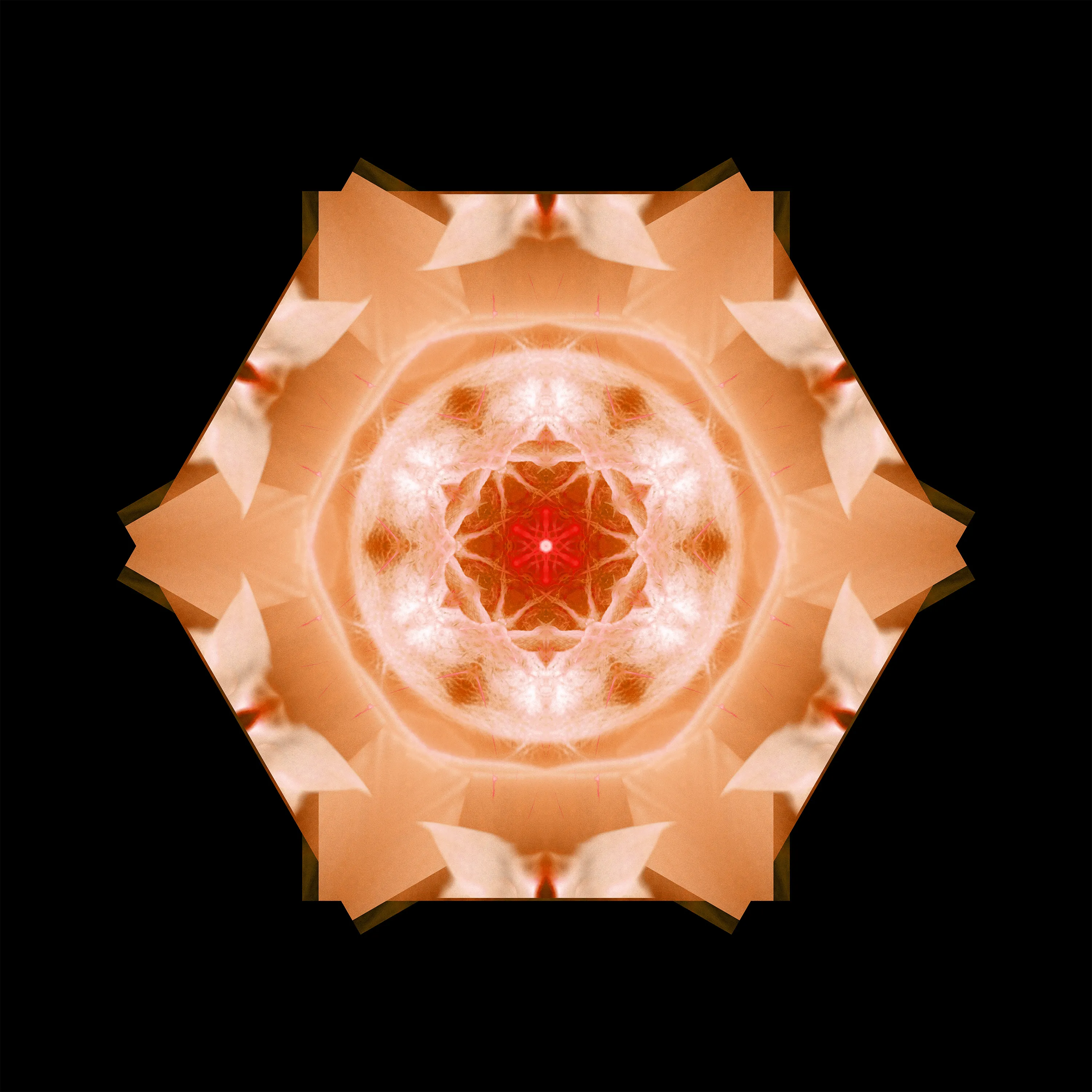 The essence of Yin, in orange.

High-resolution image (30,000 x 30,000 pixels): https://app.ardrive.io/#/file/bd9a2af7-35cc-456c-834e-ac1586bbec96/view