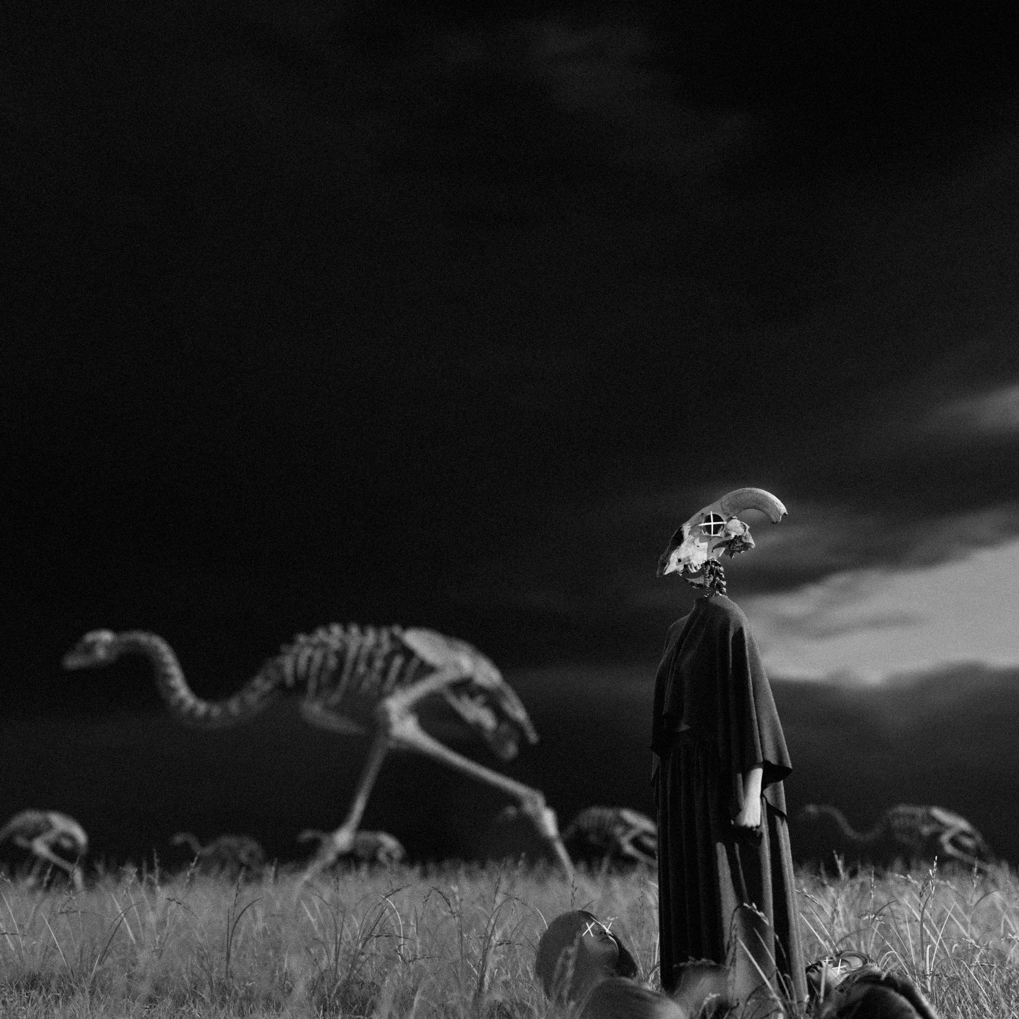 Life and death are not opposites, but two halves of the same bloom. From the skeleton of what was, something unfamiliar and fragile still emerges. We wear the weight of endings like crowns, yet within that weight lies the quiet reminder that even in decay, there is the possibility of growth, of becoming something new.