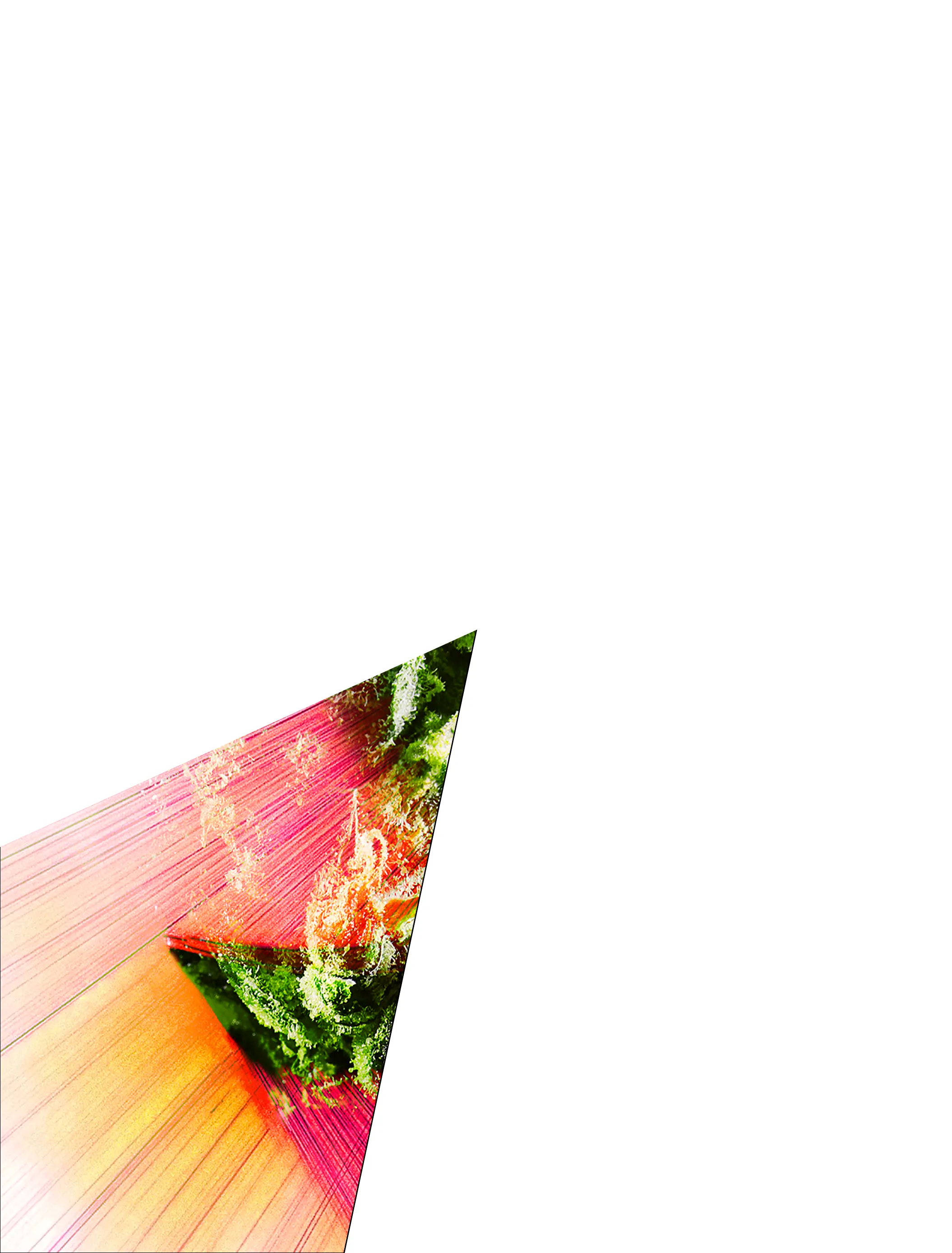 This is a GISELX original artwork cross-sectioned into 6 pieces tokenized as unique 1/1 NFTs. This piece of the bud is part 1 of 6. You now hold a piece of the 420 CELEBRATION EDITION of 2020! giselflorez.com