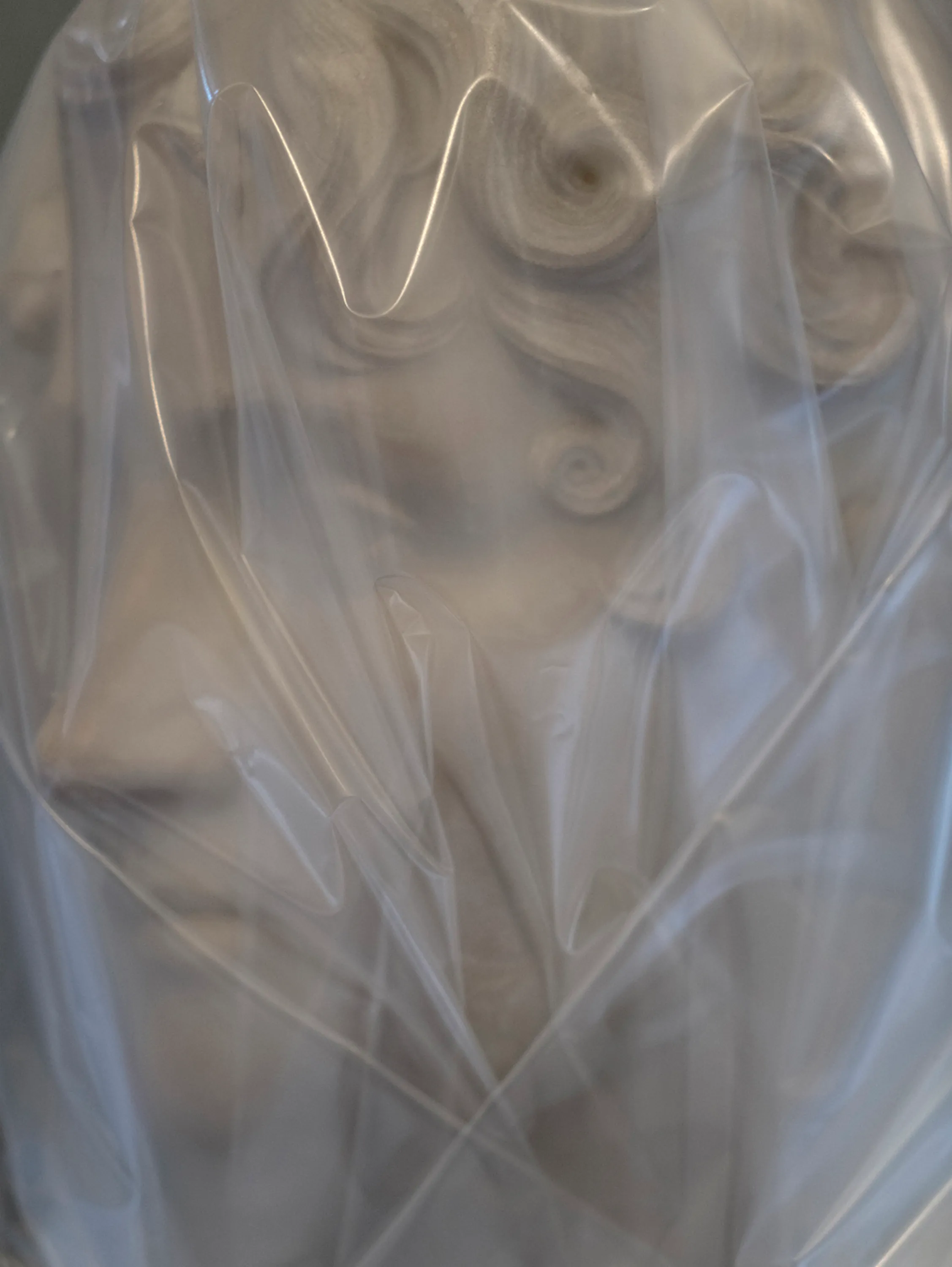Assembly presents “Shrouded Sculptures” by UK based visual artist Simon Roberts. This NFT collection is a selection of photographs taken during the second Covid-19 lockdown whilst London’s Victoria and Albert Museum was closed to the public. These veiled statues, located in the Museum’s Dorothy and Michael Hintze Galleries, were covered for their protection during refurbishment and Roberts envisions them as a metaphor for our wider experience of the Covid-19 pandemic. The images speak of the extraordinary events of the past year, a global population suspended in time, restricted of movement and freedoms. We were forced to separate from one another, or if we were to meet, we were to hug through thick plastic sheeting, or wave through windows. The beauty of our world felt elusive, hidden beneath an entanglement of political mixed messages and misleading rhetoric. Unlike the statues of merchants, statesmen and traders, many of the sculptures in this gallery represent mythological or allegorical subjects. We see ancient mythology and 18th century neo-classicism meet 21st century plastic and gaffa tape, and the juxtaposition is eerie, disorientating and beautiful.

Simon Roberts is a visual artist based in the UK. Widely recognised for his large-format, tableaux photographs of the British landscape, his practice also encompasses video, text and installation work, which together, interrogate notions of identity and belonging, and the complex relationship between history, place and culture. His work has been exhibited nationally and internationally, and resides in major public and private collections, including the George Eastman House, Deutsche Börse Art Collection and Victoria & Albert Museum.