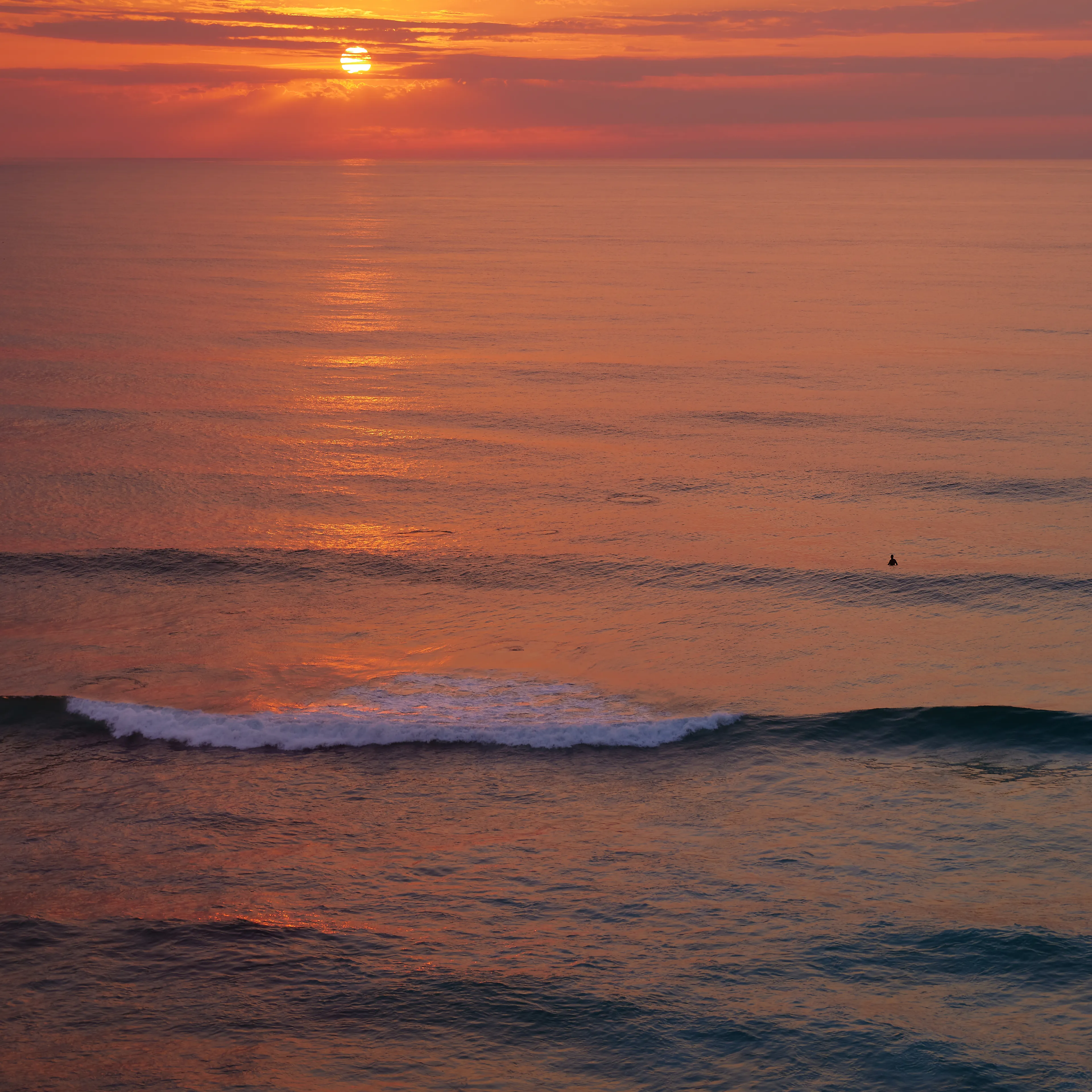 From the series Sungazer

JPG 5342px 5342px