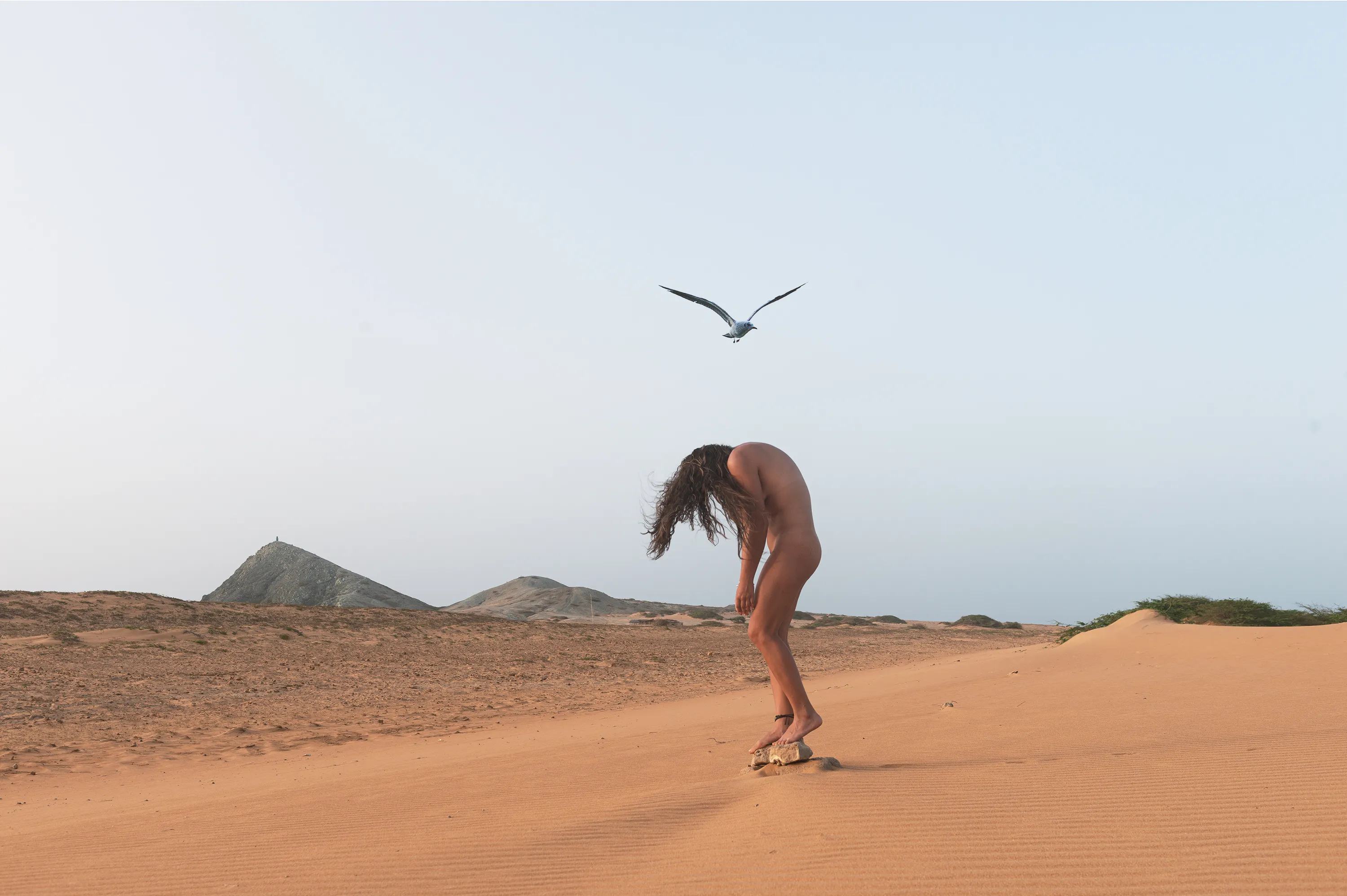 In this exploration, the naked body emerges as an allusion to the primal, in that relationship with the environment, transforming it into a totem and putting reason in tension with the imaginary.