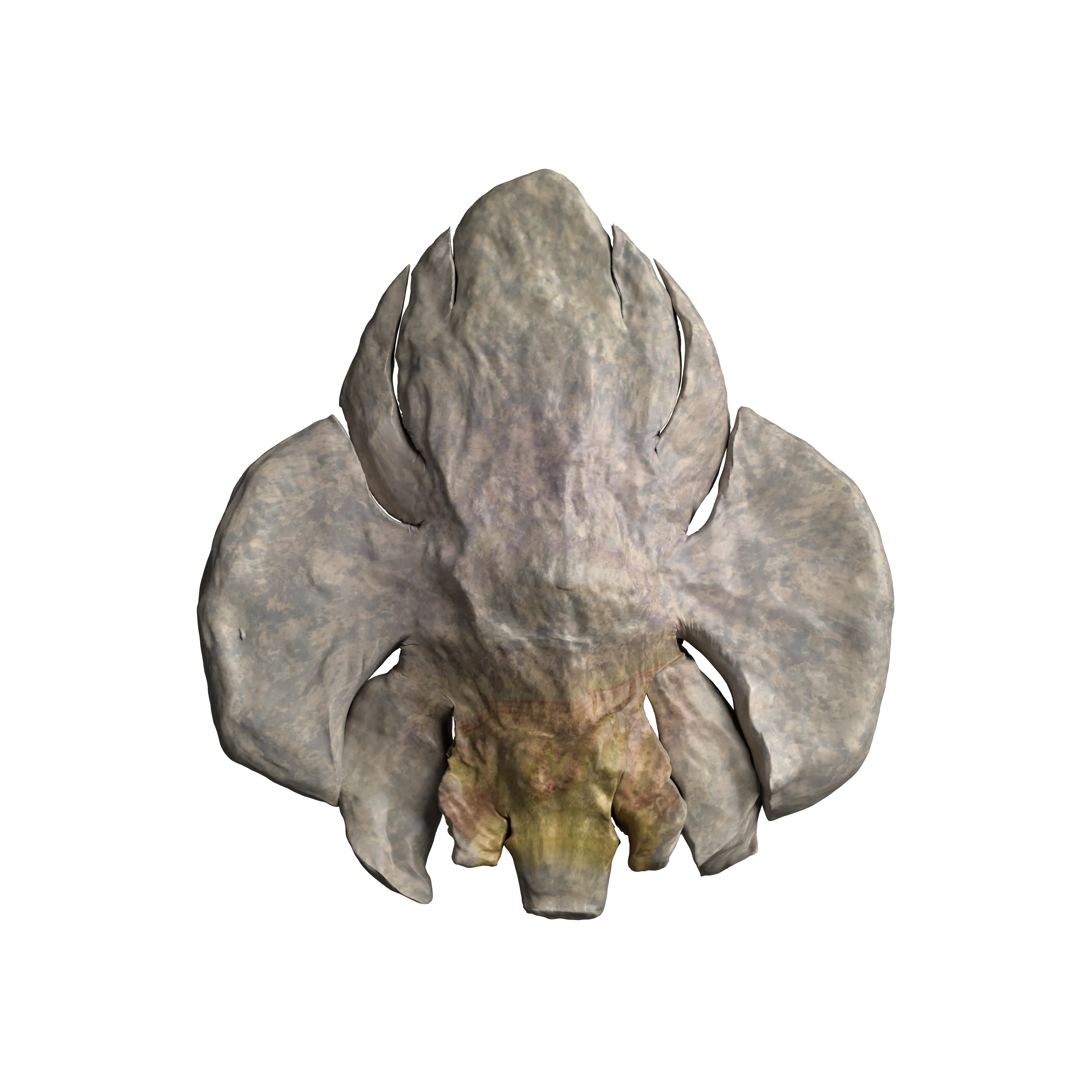 Oliver Laric (b. 1981), Rock Hyphen Orchid Wasp #32, 2024. Expanded NFT: ERC-721 NFT + redeemable as unique opalescent 3d printed sculpture. Owner can redeem at [zien.io](https://zien.io/)
Rock: 59.26%, Hyphen: 7.41%, Orchid: 29.63%, Wasp: 3.7%
Downloads: [3D model](https://gateway.pinata.cloud/ipfs/QmaP33BYuNVJNm3JahacYik4GEXDTHViLWVg4W33o8s189), [RHOW Grid](https://violet-abstract-zebra-80.mypinata.cloud/ipfs/QmXZebkUfFvSybriLTc1DpA9wty6gqJ29JCtvVXFeACCss)