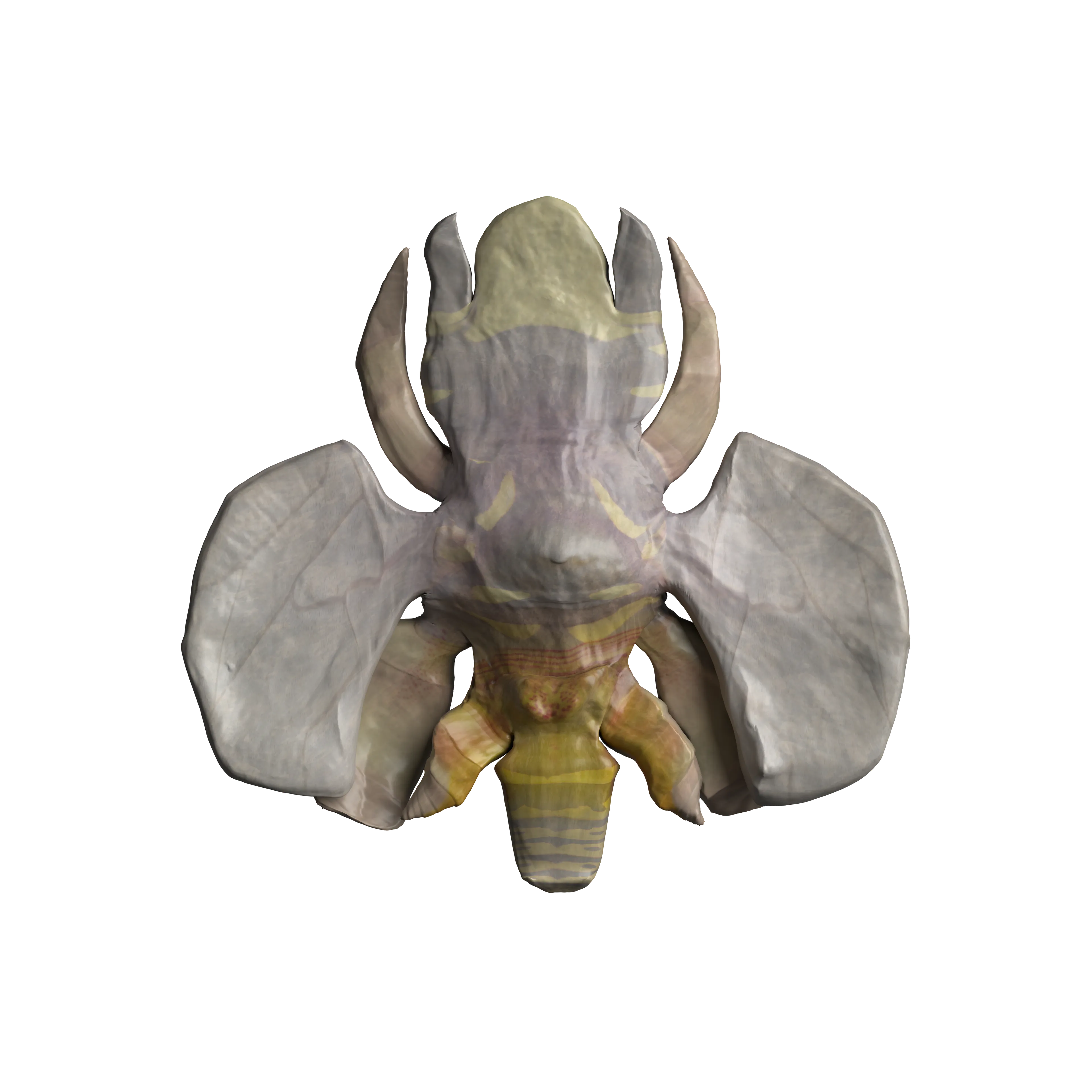 Oliver Laric (b. 1981), Rock Hyphen Orchid Wasp #54, 2024. Expanded NFT: ERC-721 NFT + redeemable as unique opalescent 3d printed sculpture. Owner can redeem at [zien.io](https://zien.io/)
Rock: 29.63%, Hyphen: 14.81%, Orchid: 37.04%, Wasp: 18.52%
Downloads: [3D model](https://gateway.pinata.cloud/ipfs/QmThq3zZUQSpJmps59FwJMVeTRtwUyjkRhKpmWFk1RMGRw), [RHOW Grid](https://violet-abstract-zebra-80.mypinata.cloud/ipfs/QmXZebkUfFvSybriLTc1DpA9wty6gqJ29JCtvVXFeACCss)