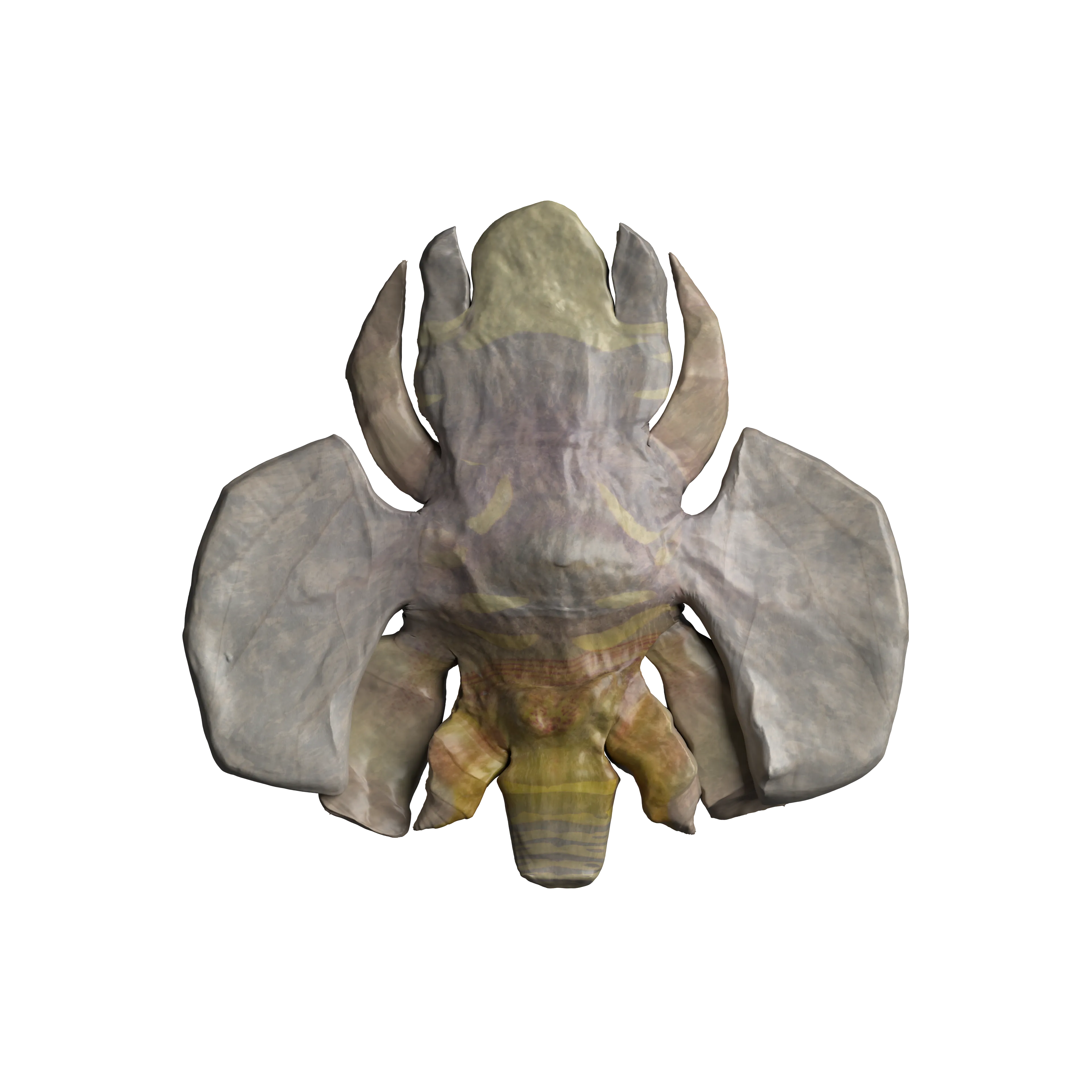 Oliver Laric (b. 1981), Rock Hyphen Orchid Wasp #44, 2024. Expanded NFT: ERC-721 NFT + redeemable as unique opalescent 3d printed sculpture. Owner can redeem at [zien.io](https://zien.io/)
Rock: 37.04%, Hyphen: 18.52%, Orchid: 29.63%, Wasp: 14.81%
Downloads: [3D model](https://gateway.pinata.cloud/ipfs/QmRk9vLMh51jLBzARGSuAeQfnL1QSSSjsJ1WUgF8uU7eGd), [RHOW Grid](https://violet-abstract-zebra-80.mypinata.cloud/ipfs/QmXZebkUfFvSybriLTc1DpA9wty6gqJ29JCtvVXFeACCss)