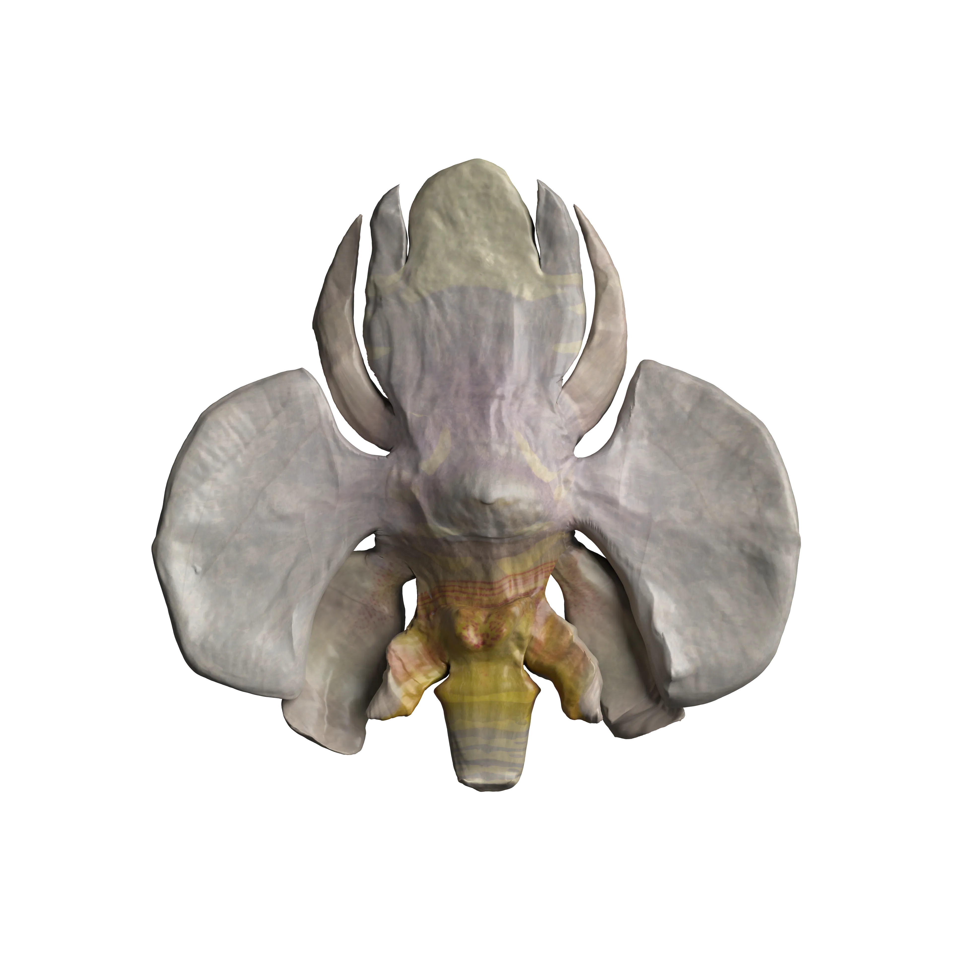 Oliver Laric (b. 1981), Rock Hyphen Orchid Wasp #53, 2024. Expanded NFT: ERC-721 NFT + redeemable as unique opalescent 3d printed sculpture. Owner can redeem at [zien.io](https://zien.io/)
Rock: 34.57%, Hyphen: 9.88%, Orchid: 43.21%, Wasp: 12.35%
Downloads: [3D model](https://gateway.pinata.cloud/ipfs/QmSckMxDUQ8Mk2ZDqVua8c53EptWGqVLbjrpjXbrgeAzHx), [RHOW Grid](https://violet-abstract-zebra-80.mypinata.cloud/ipfs/QmXZebkUfFvSybriLTc1DpA9wty6gqJ29JCtvVXFeACCss)