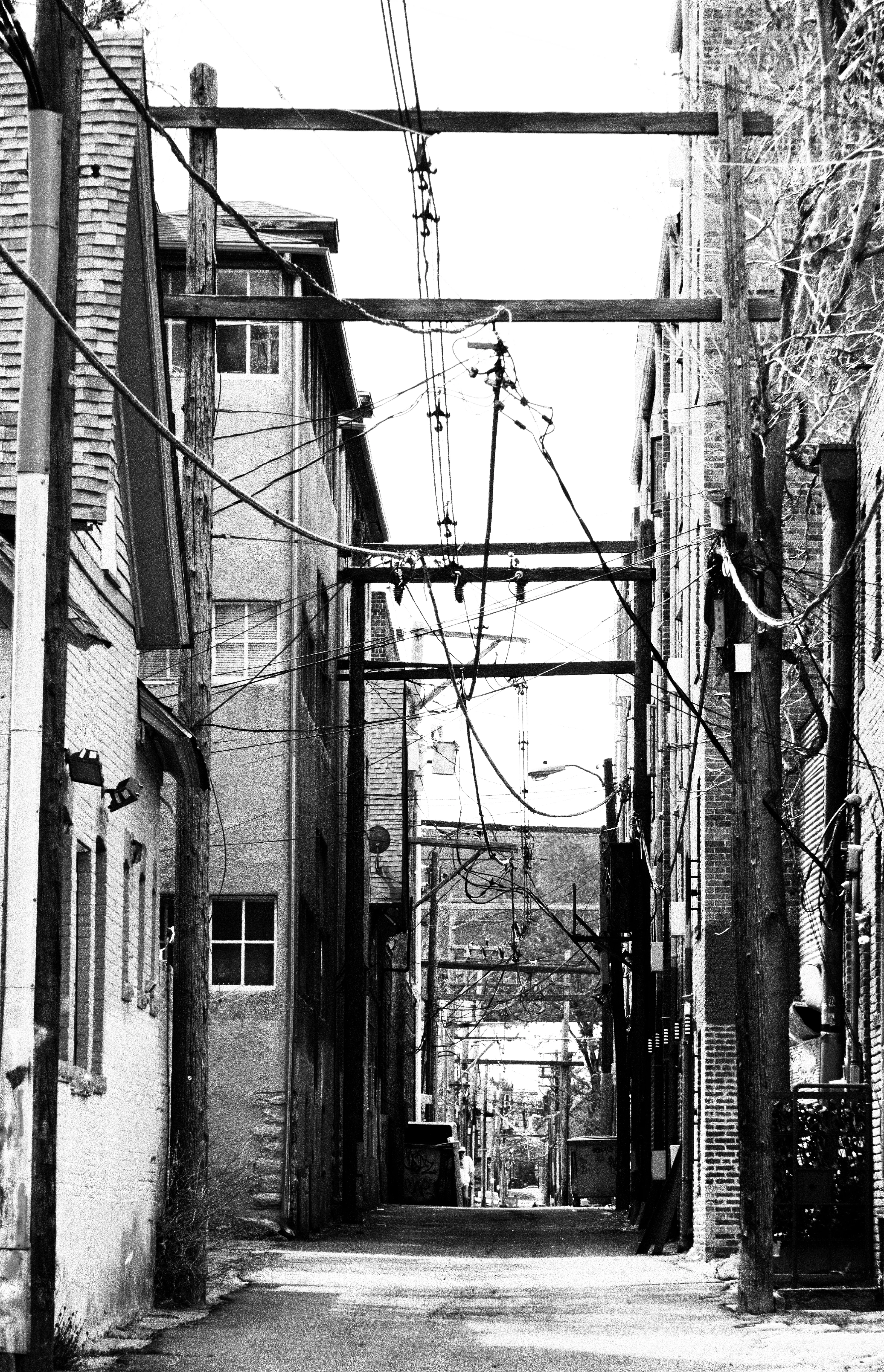 MM | Photography | the alley of decision