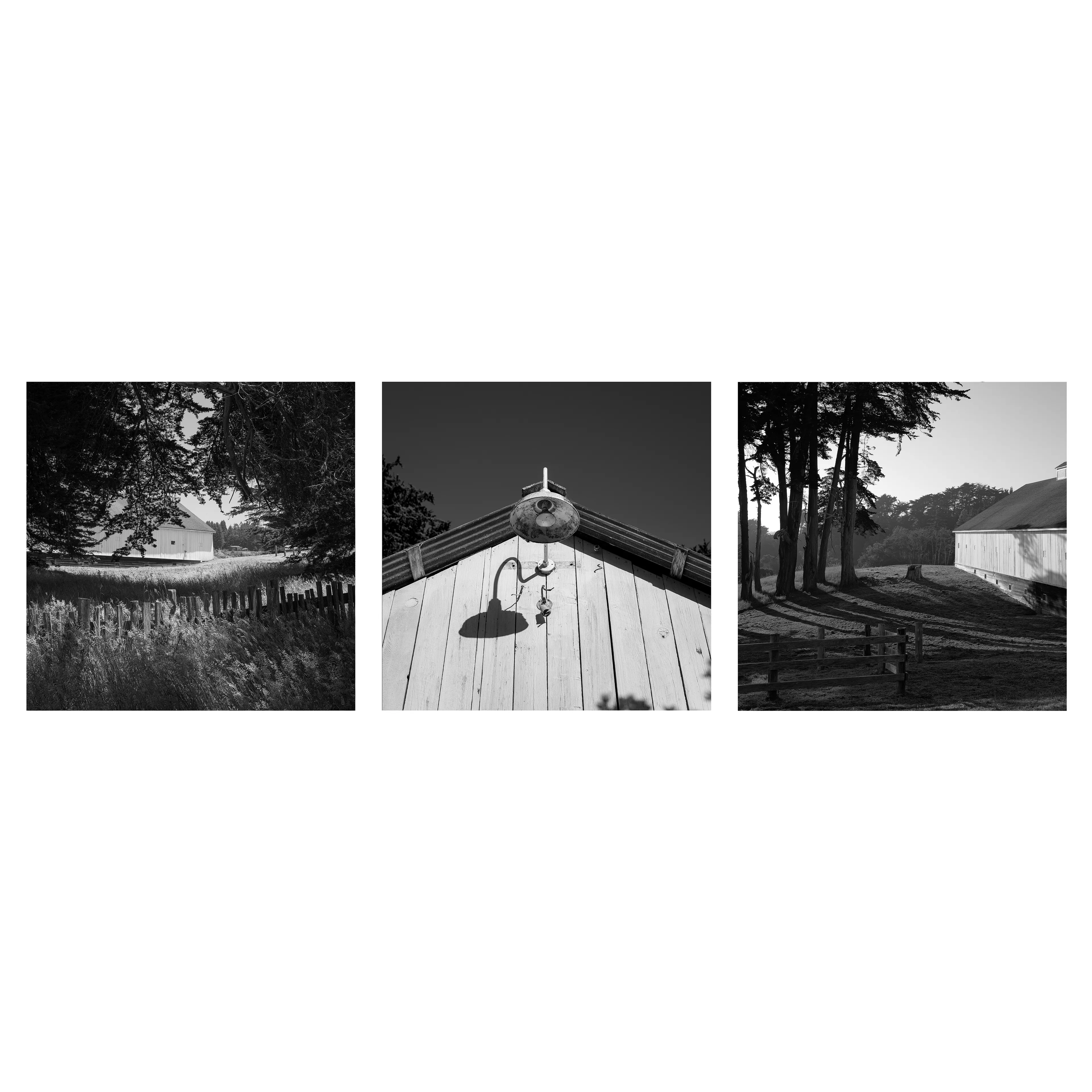 “Big White Barn” traces the quiet dignity of a weathered structure standing among fields and shadows. In three frames, it emerges from behind tall grass, rises into sunlight beneath a rusted lamp, and recedes into a grove of leaning cypress. Still and sturdy, the barn anchors the passing light—a witness to the slow rhythm of rural time.