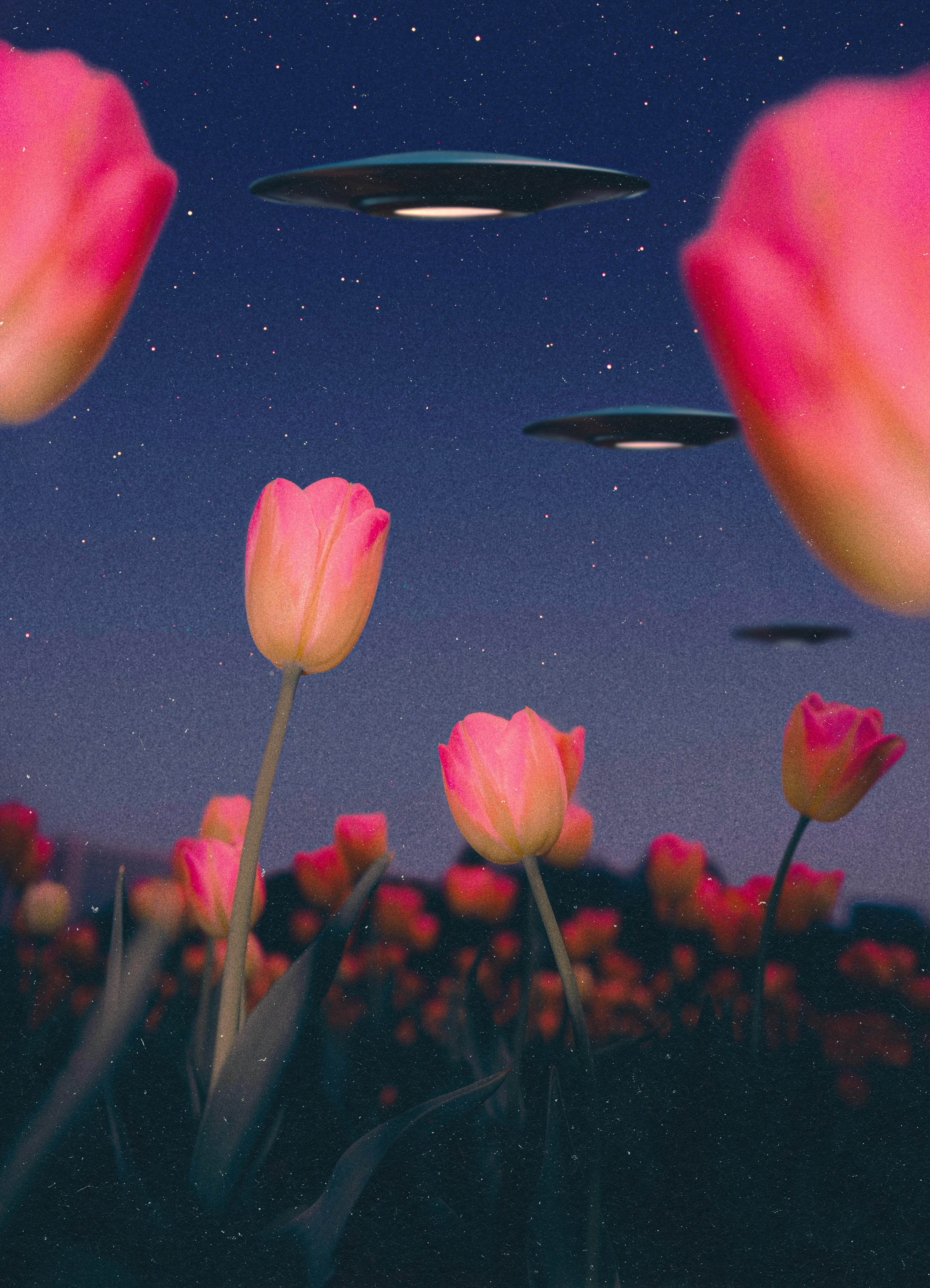 BUG'S PERSPECTIVE // 4