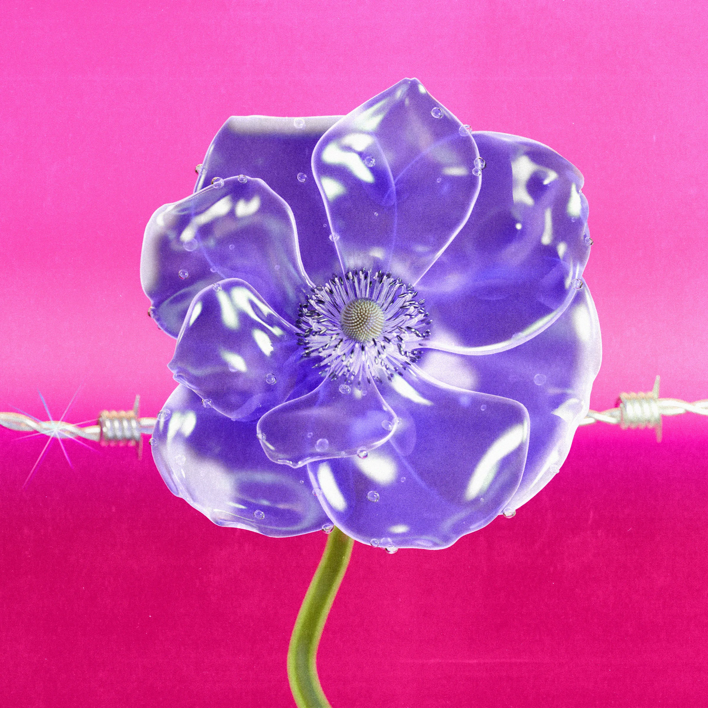 Flower #05 by Olivia Pedigo