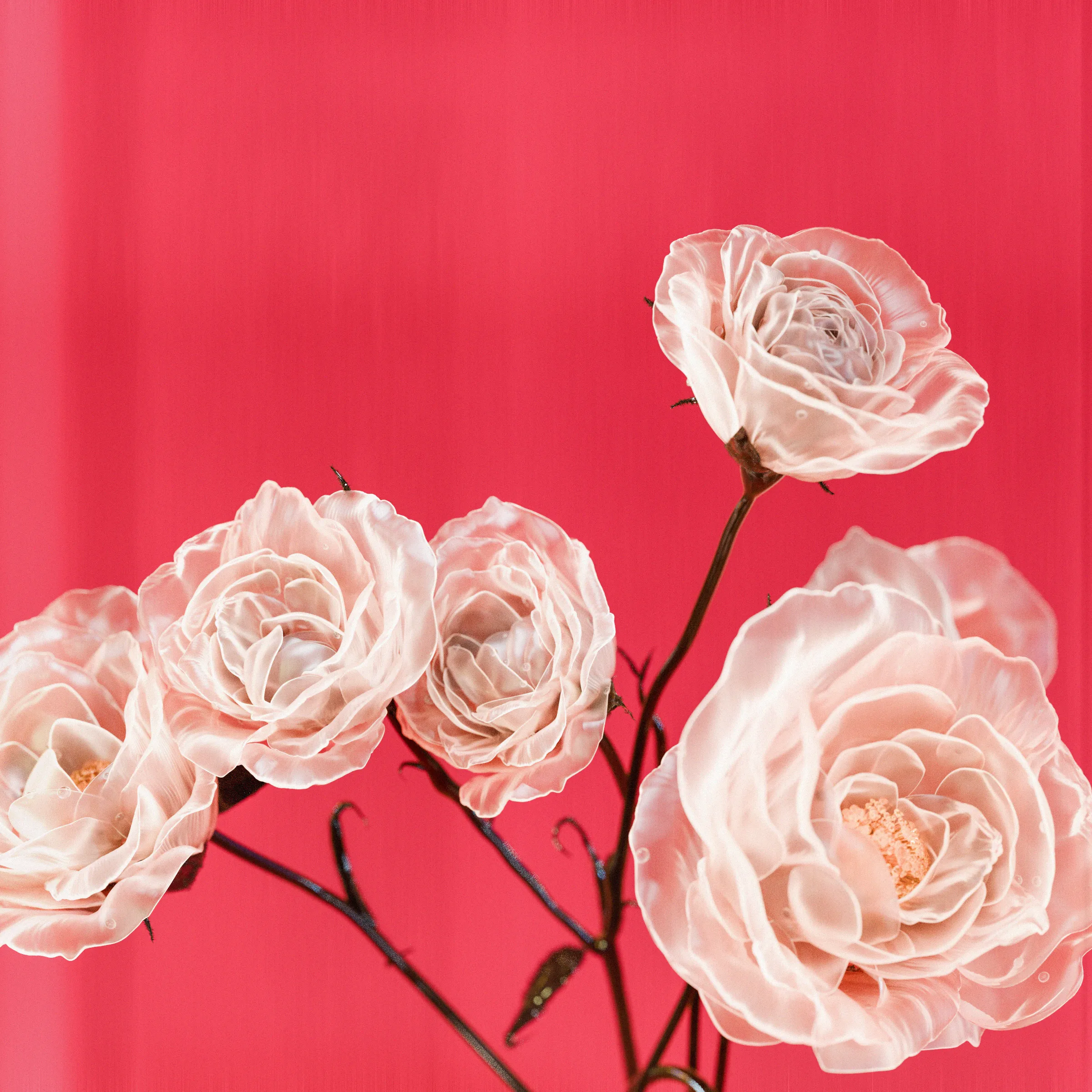 Flower #18 by Olivia Pedigo