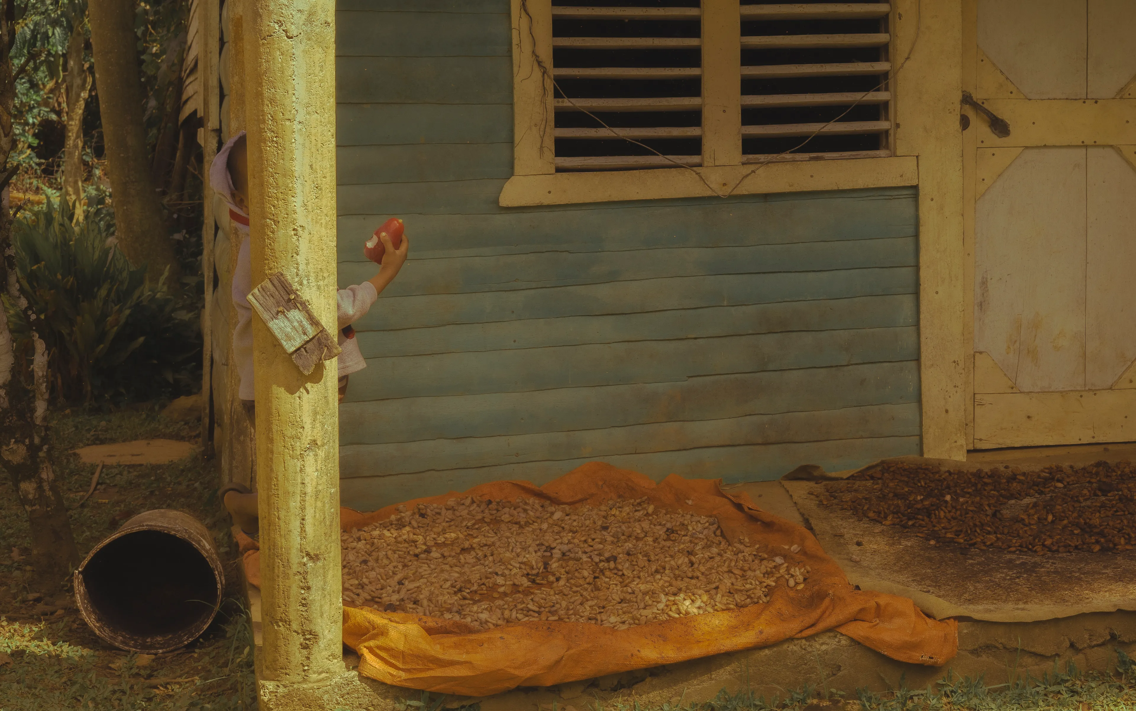 The Silent Hunt #14 Hiding from the Hunter by Summer Wagner

A child playfully hides from view as cacao seeds dry in the shade. 

The Silent Hunt explores the quiet search for connection, intimacy, and ways to cope during the last two years of an international pandemic. Peering specifically into the lives of boys and men of at least three different generations, The Silent Hunt demonstrates an earnest search for belonging and duty in an increasingly atomized world. 

Edition: 1 of 1

Commissioned by Obscura