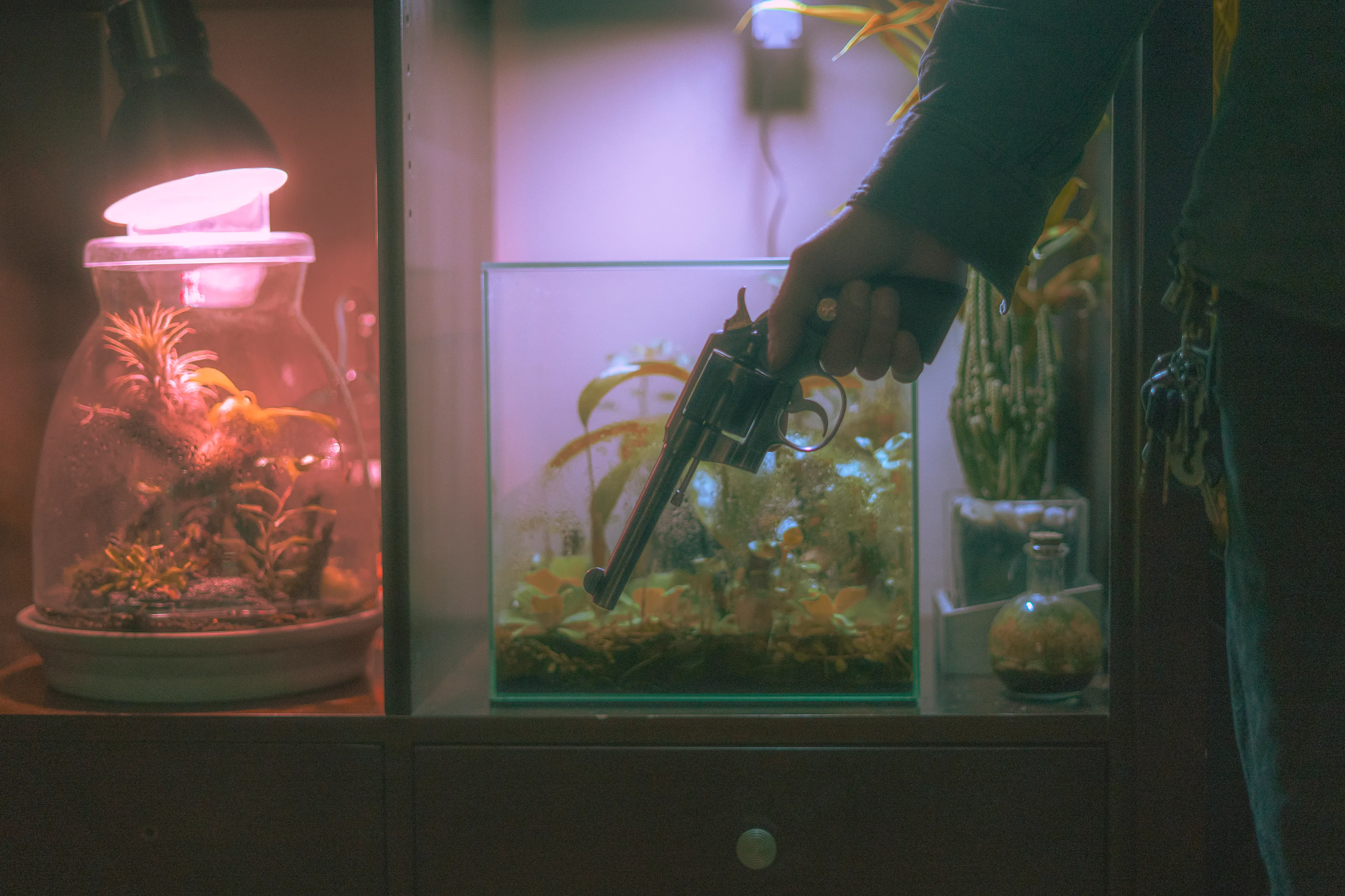 The Silent Hunt #3 Hands Full of Life and Death by Summer Wagner

Alex holds his gun while showing the terrarium and aquarium room he built over the last two years. 

The Silent Hunt explores the quiet search for connection, intimacy, and ways to cope during the last two years of an international pandemic. Peering specifically into the lives of boys and men of at least three different generations, The Silent Hunt demonstrates an earnest search for belonging and duty in an increasingly atomized world. 

Edition: 1 of 1

Commissioned by Obscura