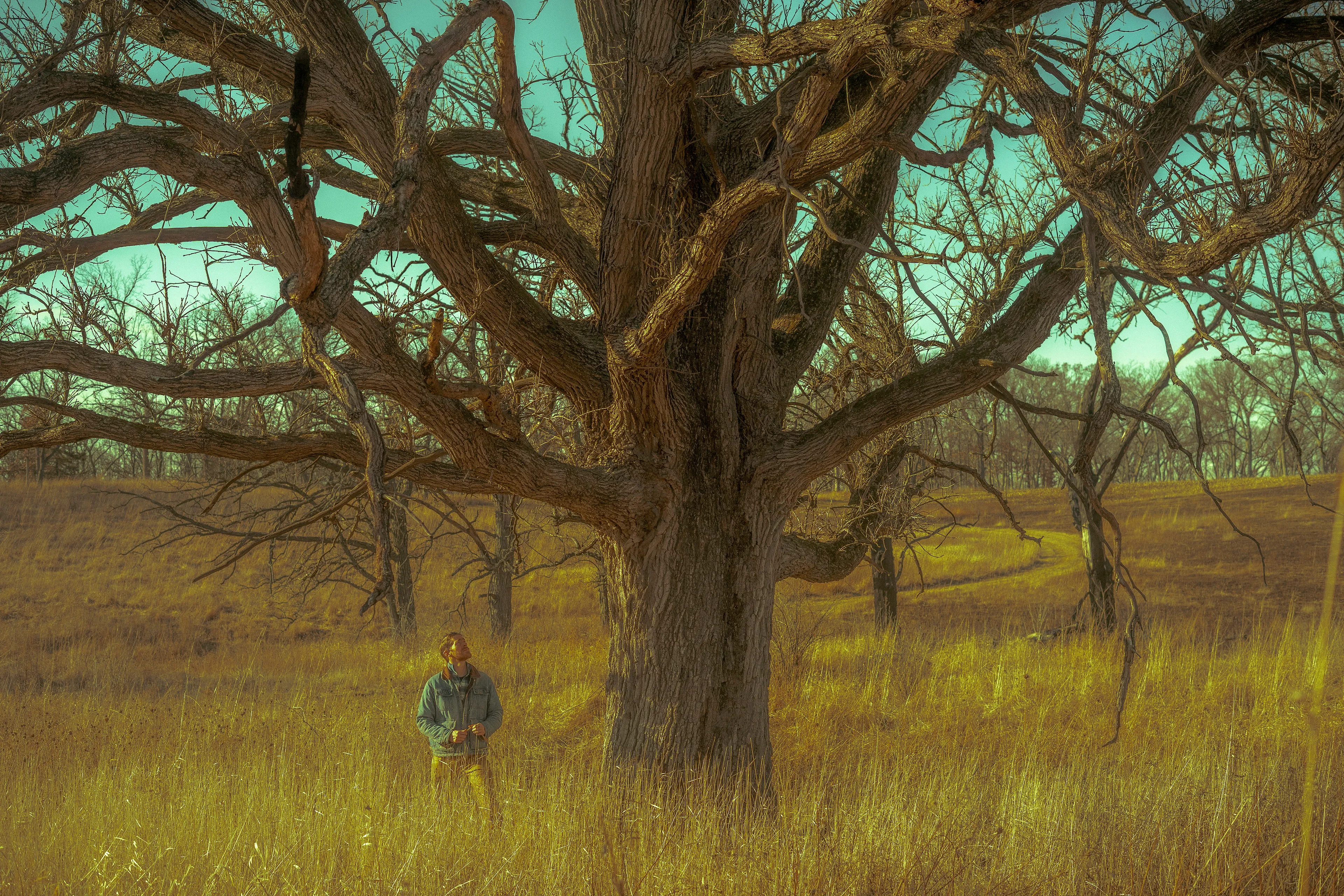 The Silent Hunt #15 Grandfather Oak by Summer Wagner

Bradley reveres a large oak tree while taking a winter hike at Funderberg Forest Preserve, Rockford, IL. 

The Silent Hunt explores the quiet search for connection, intimacy, and ways to cope during the last two years of an international pandemic. Peering specifically into the lives of boys and men of at least three different generations, The Silent Hunt demonstrates an earnest search for belonging and duty in an increasingly atomized world.

Edition: 1 of 1

Commissioned by Obscura